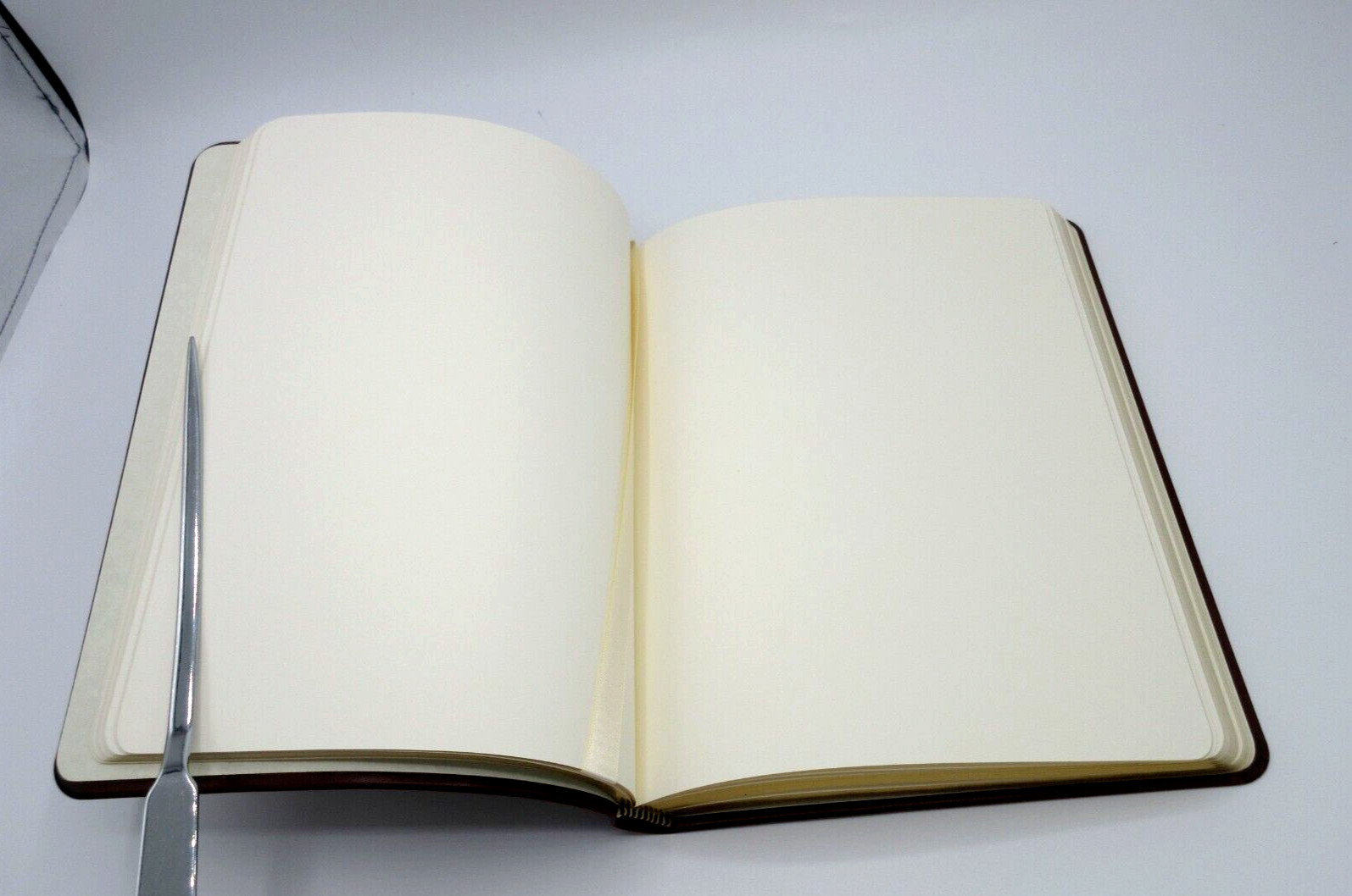 Journal 9″ Leather Softcover Graphic Image 224 UNLINED Pages NEW $105 TAN