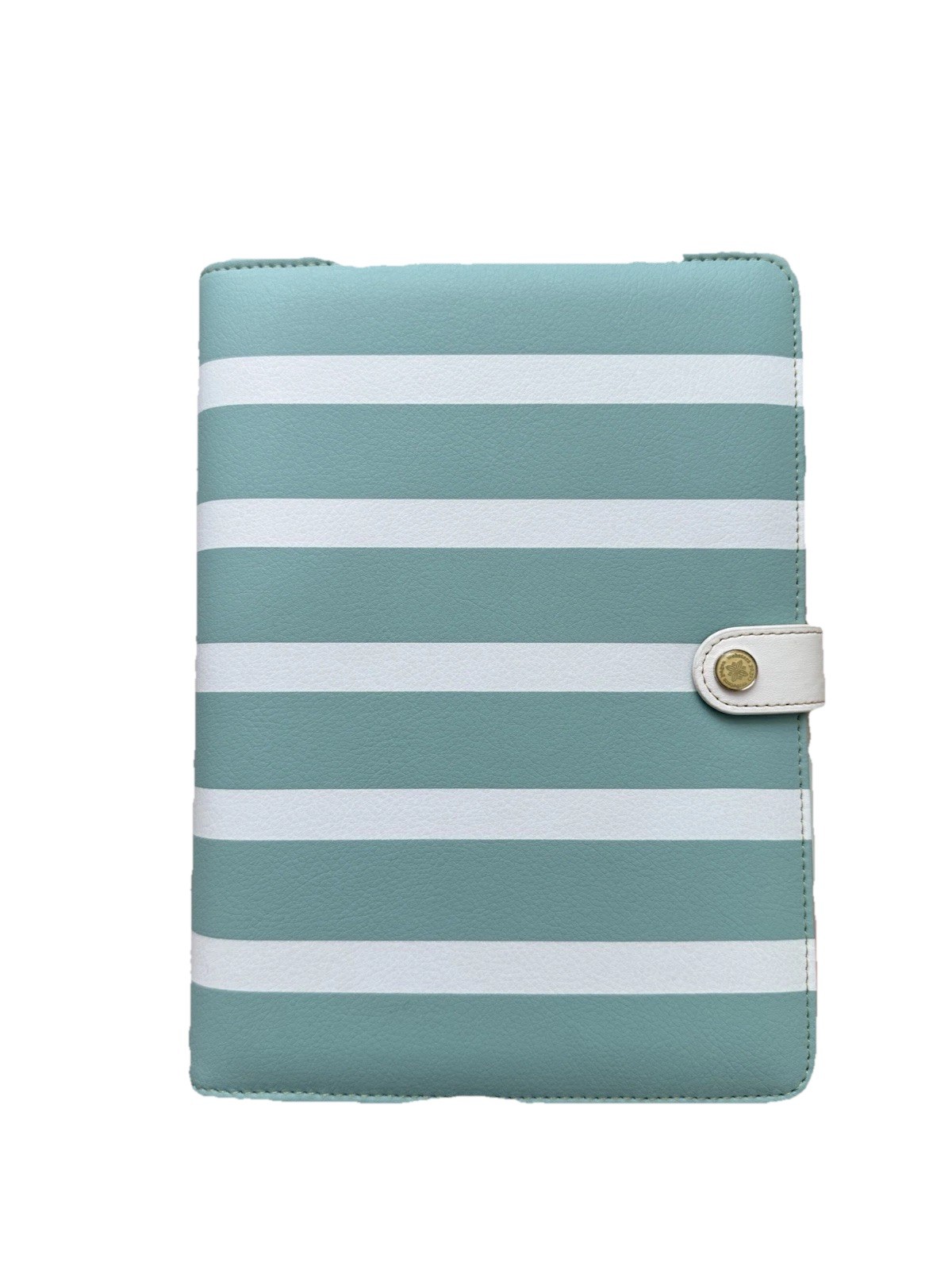 Webster’s Pages Planner, A5 Teal/white Planner Kit, New