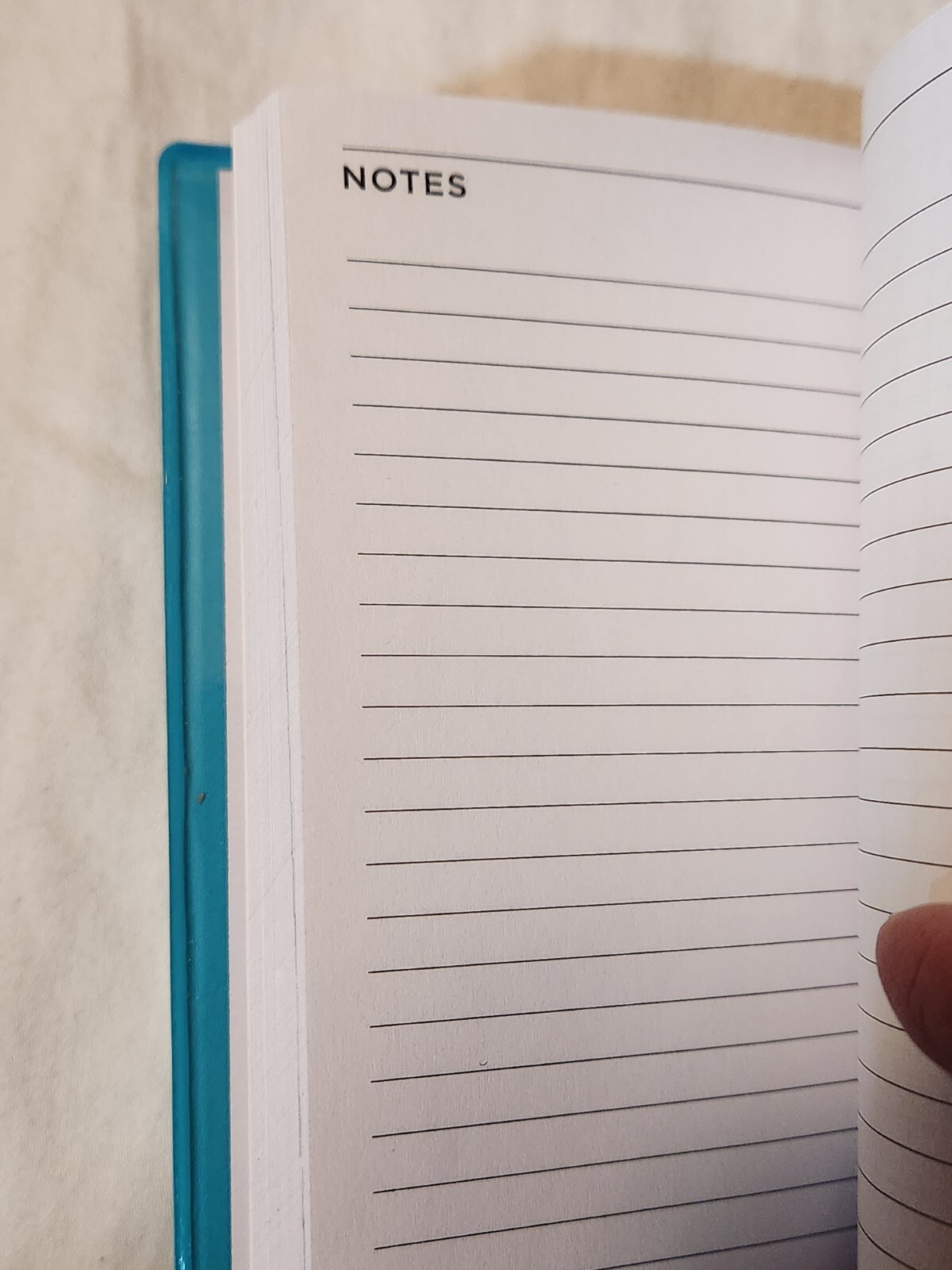 NEW 2025 Pocket Calendar – 2025 Pocket Planner from 1/2025 to 12/25 – Blue