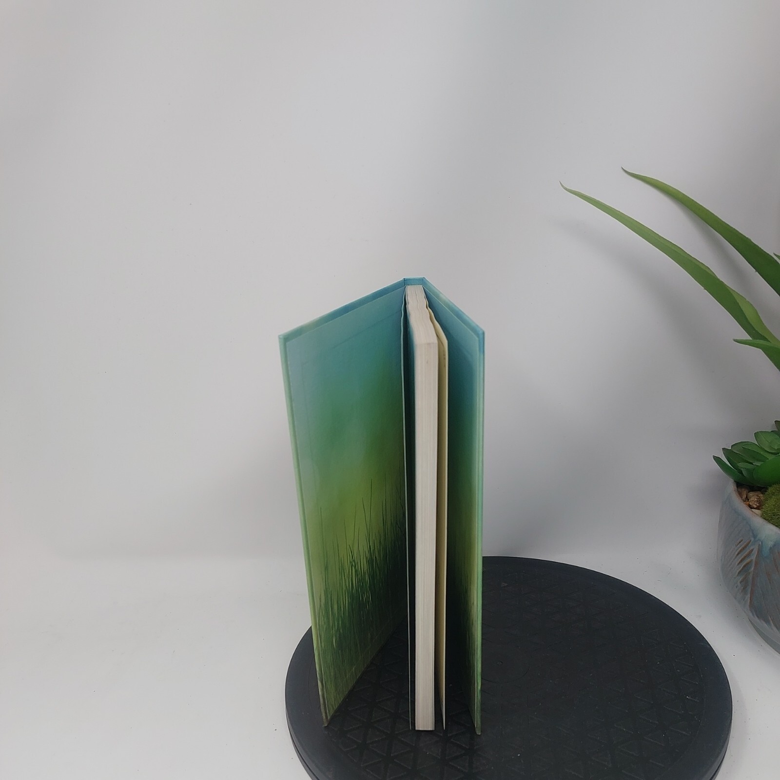 Guided Positivity Journal by 5 inches X 8 inch The Grass is Green Enough UNUSED