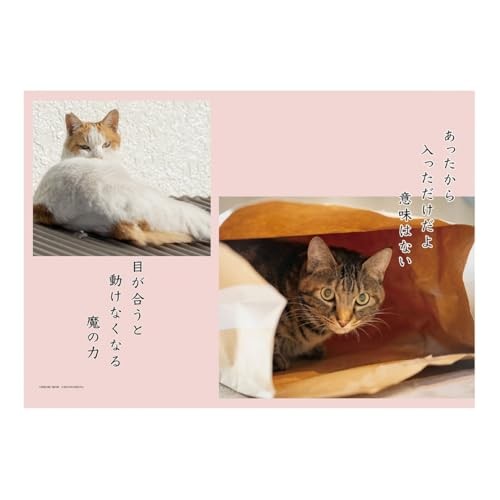 Art Print Japan 2026 Calendar Cat Senryu