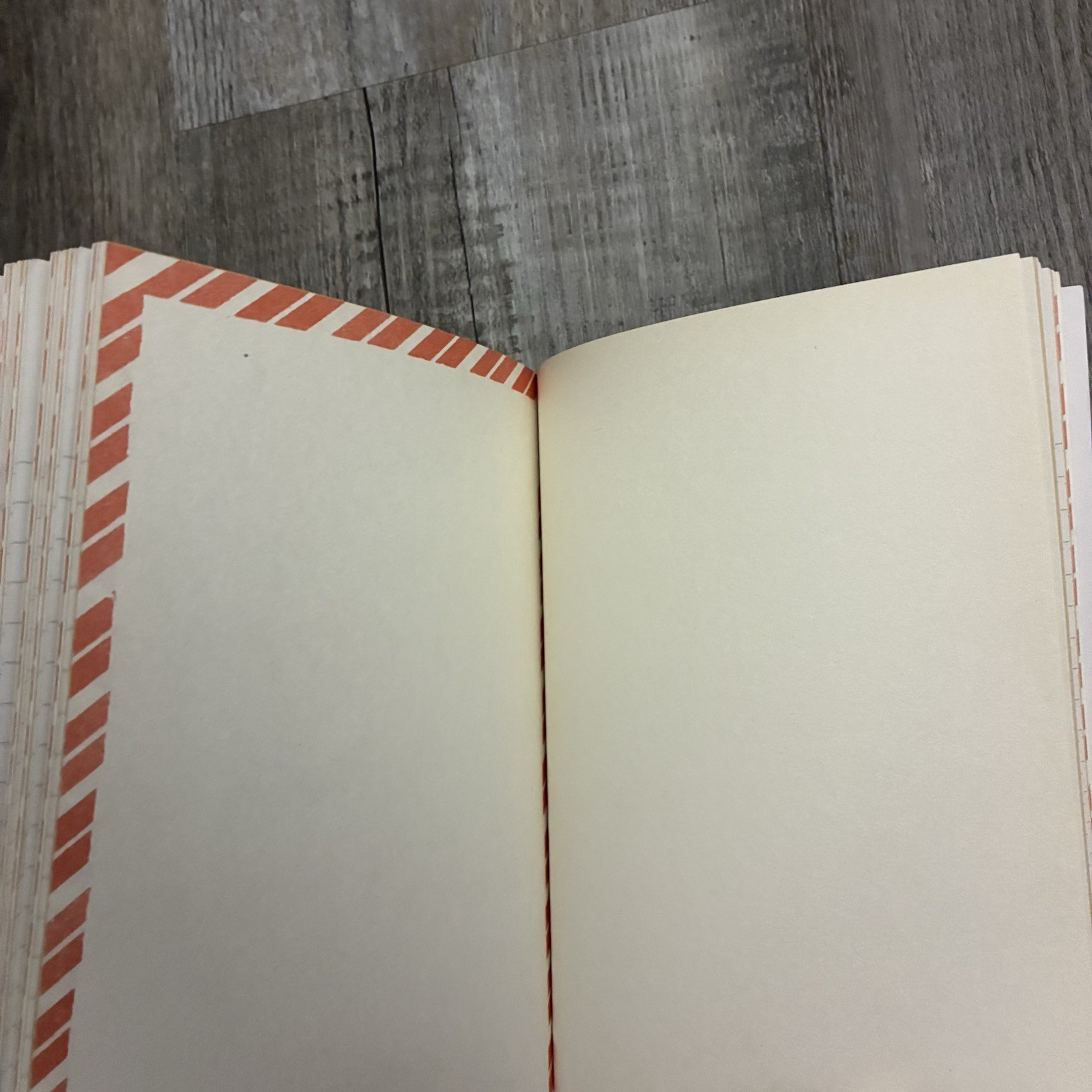 Sukie Travel Journal, Diary, with pockets and envelopes, recycled paper. Unused