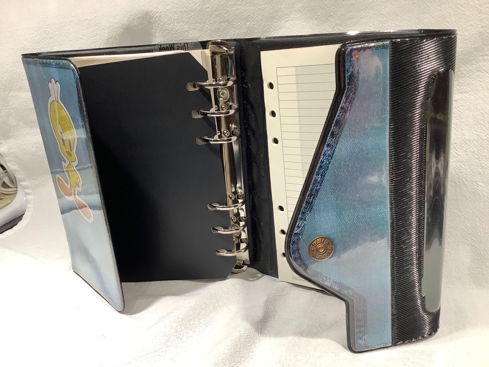Vintage Looney Tunes Day Runner Student Planner Organizer 1996 Taz/Looney Tunes