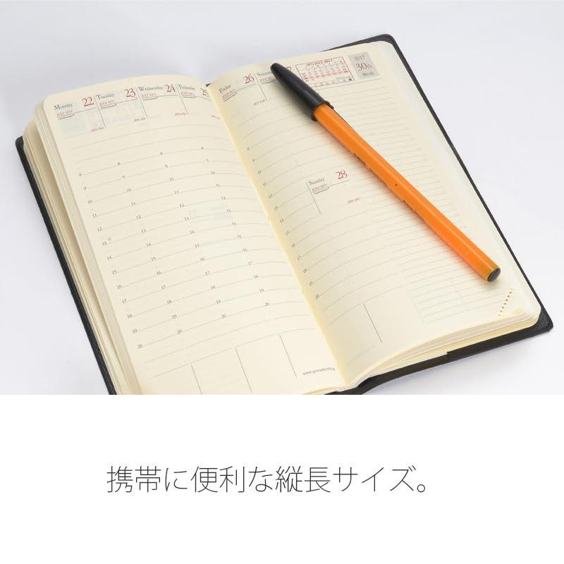 QUO VADIS Planner Diary Sage Green qv55702sg