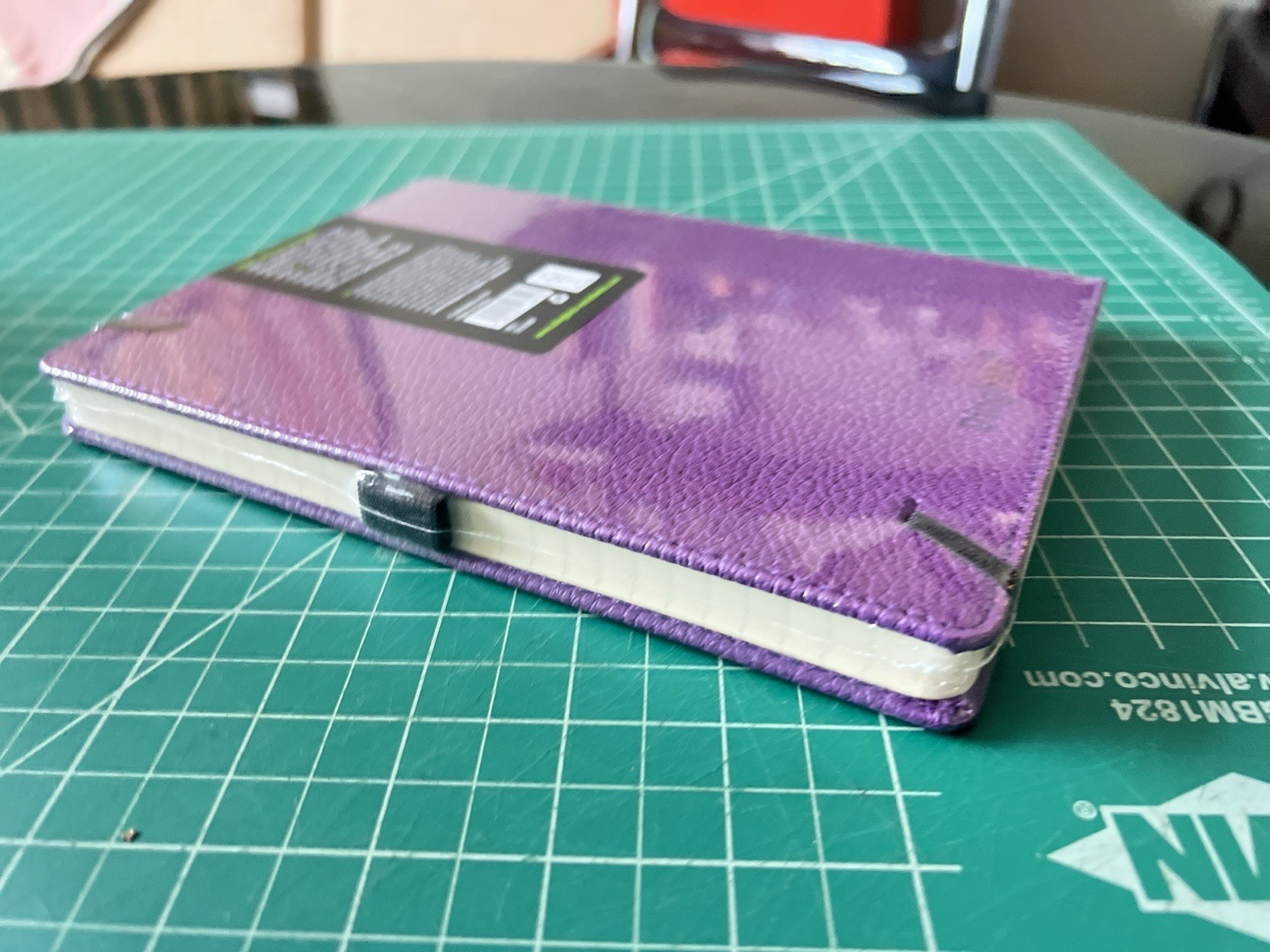 NEW – Dingbats notebook – Purple With Hippo – Lined