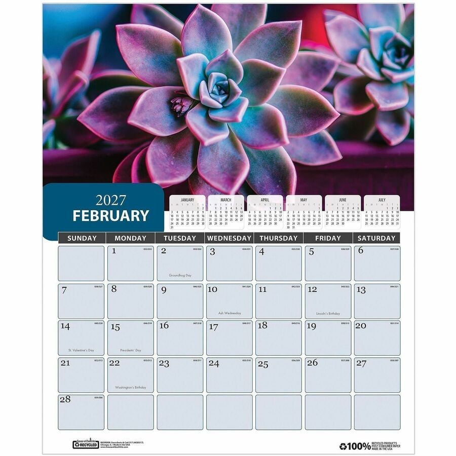 House of Doolittle Recycled Succulent & Cacti Wall Calendar (hod-317) (hod317)