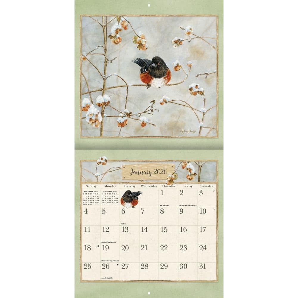 Lang, Birds In The Garden 2026 Mini Wall Calendar, 7” X 7″W x 0.2″H, 2026
