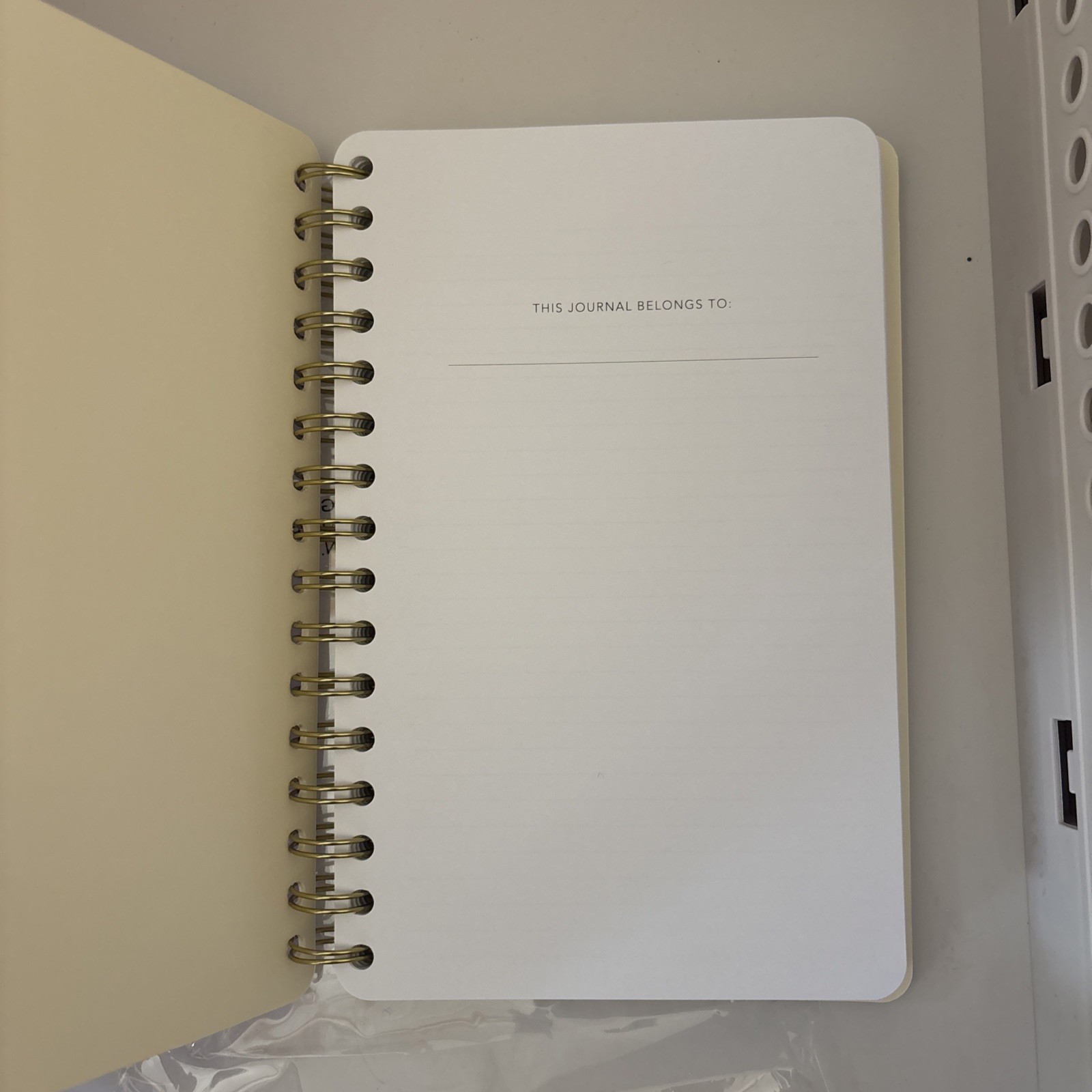 Be Rooted Act Up Sis 240pg Spiral Journal 5.5″x8.5″ Lined Paper Hard Cover NEW
