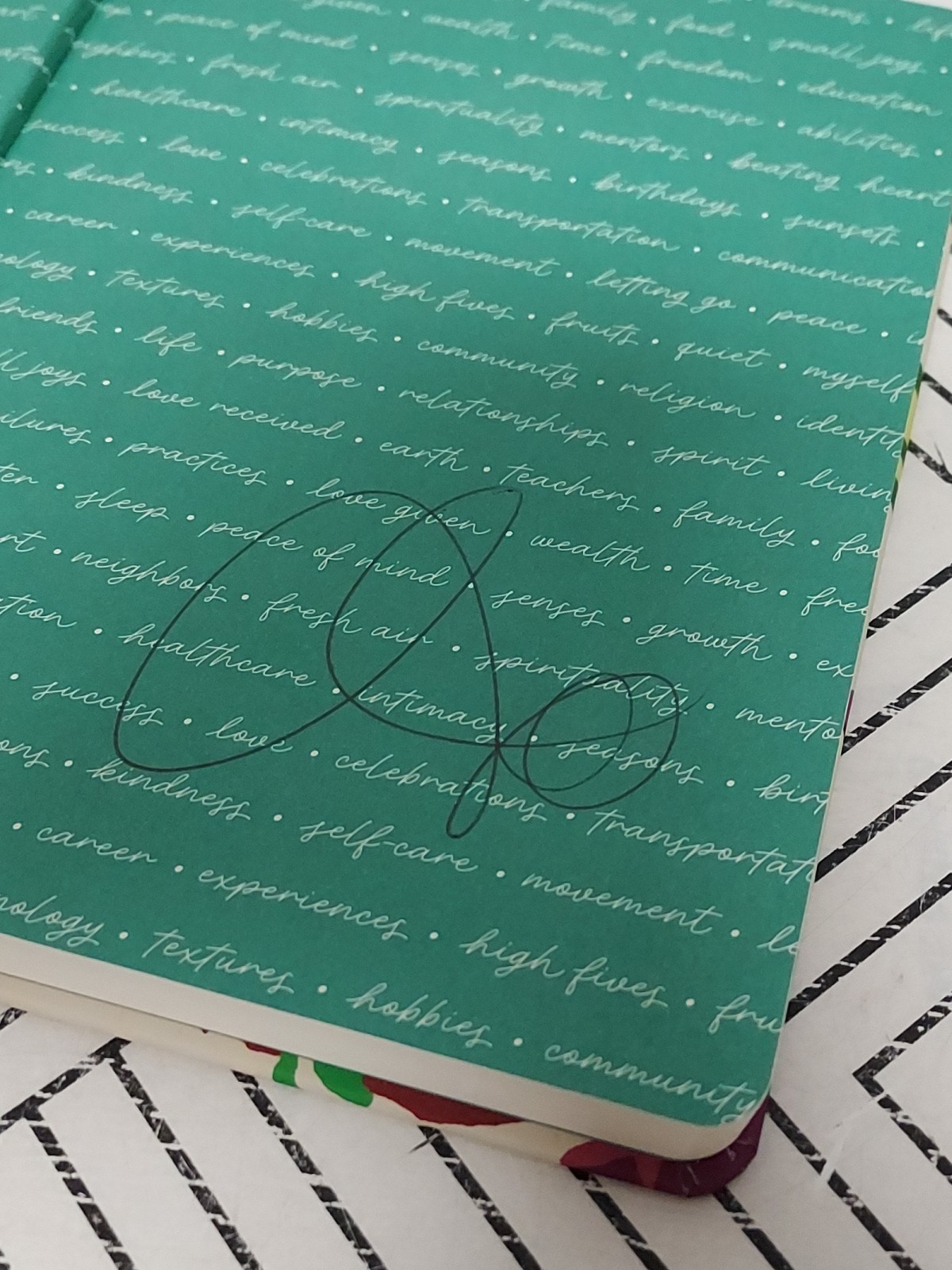 🥥 Gratitude Business Journal – Tabitha Brown for Target🆕️AS SHOWN👇
