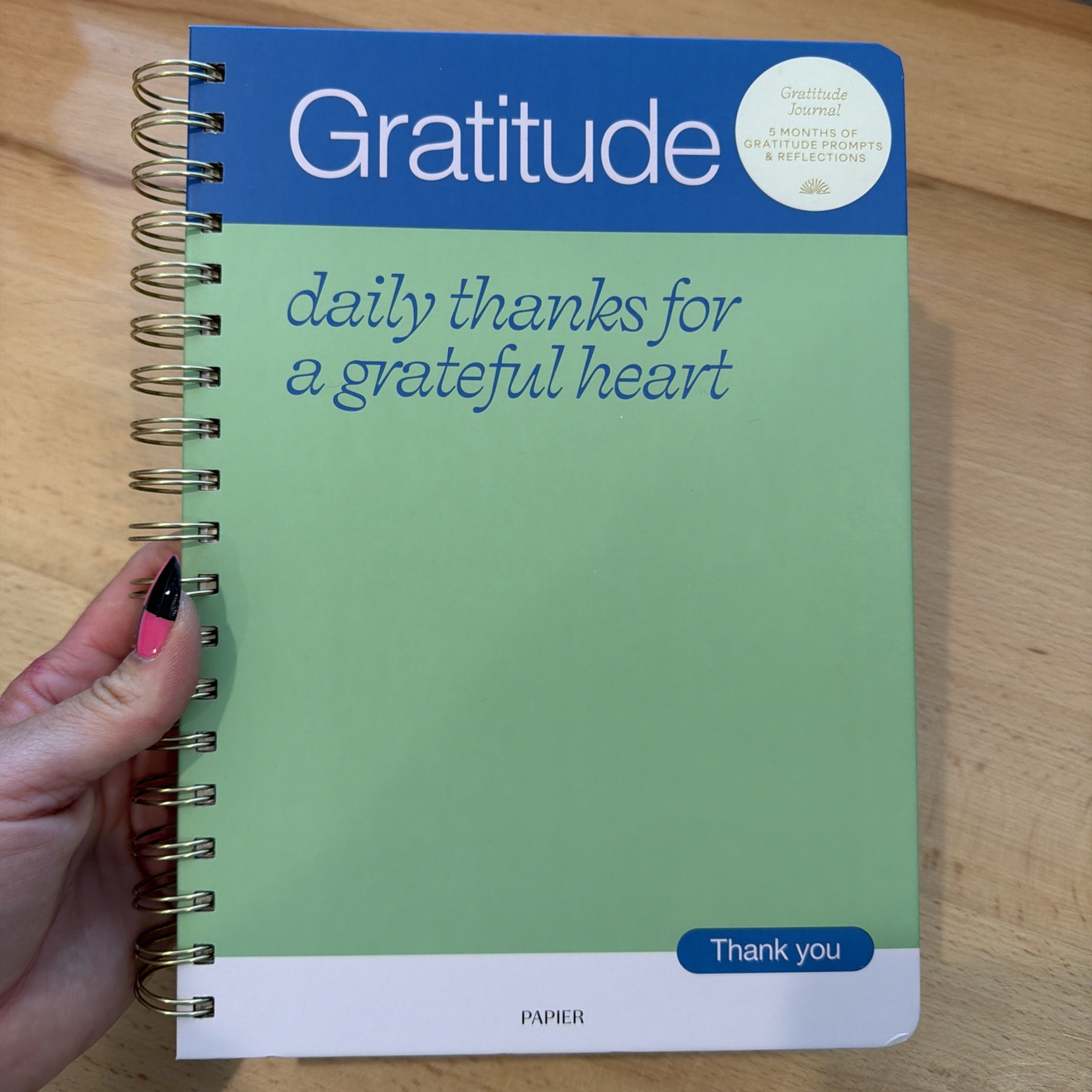 Papier Gratitude Journal Mental Health Wellness Notebook 9.8”x7.4” 192 Pgs NWT