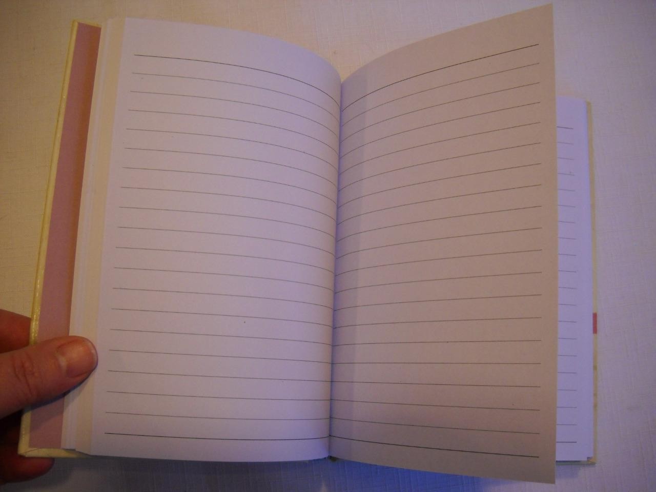 PEONIES Jardins Personal Journal Diary 200 Lined Pages /100 Sheets KEEPSAKE