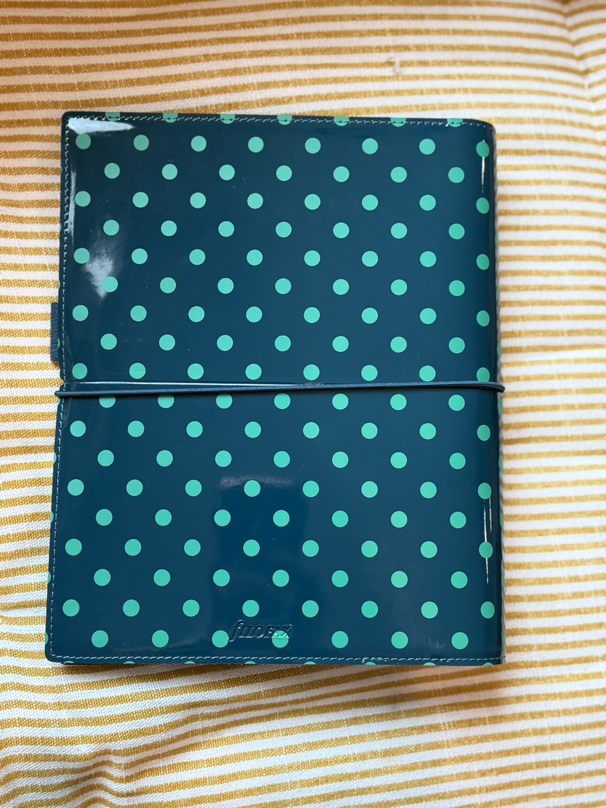 Filofax Domino Patent A5 organizer Planner 30mm Ring Rare Discontinued NEW