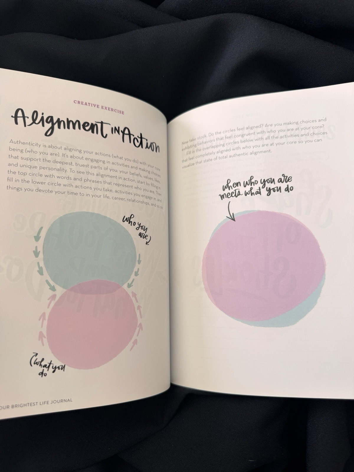 NEW – Your Brightest Life Journal Diary by Caroline Kelso Zook