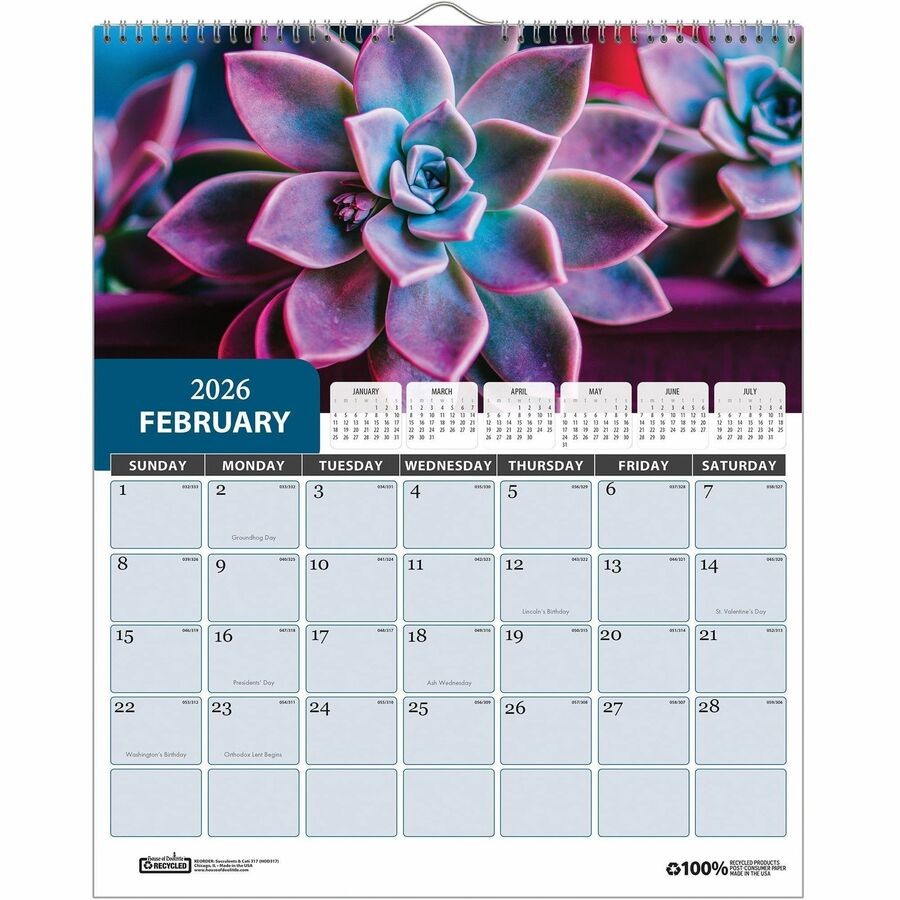 House of Doolittle Recycled Succulent & Cacti Wall Calendar (hod-317) (hod317)