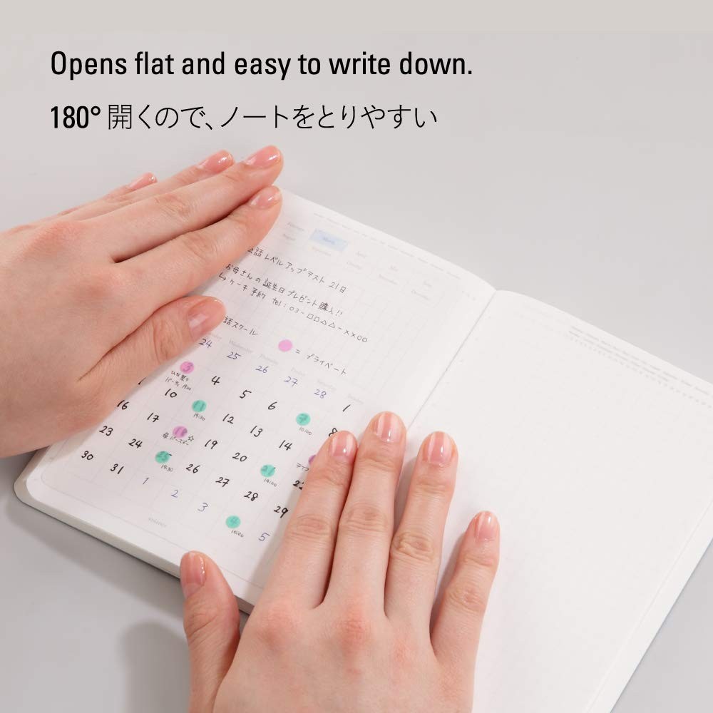 Nitoms S4101 STALOGY Notebook, A5, Squared, 365 Days A5(365デイズノート), Black
