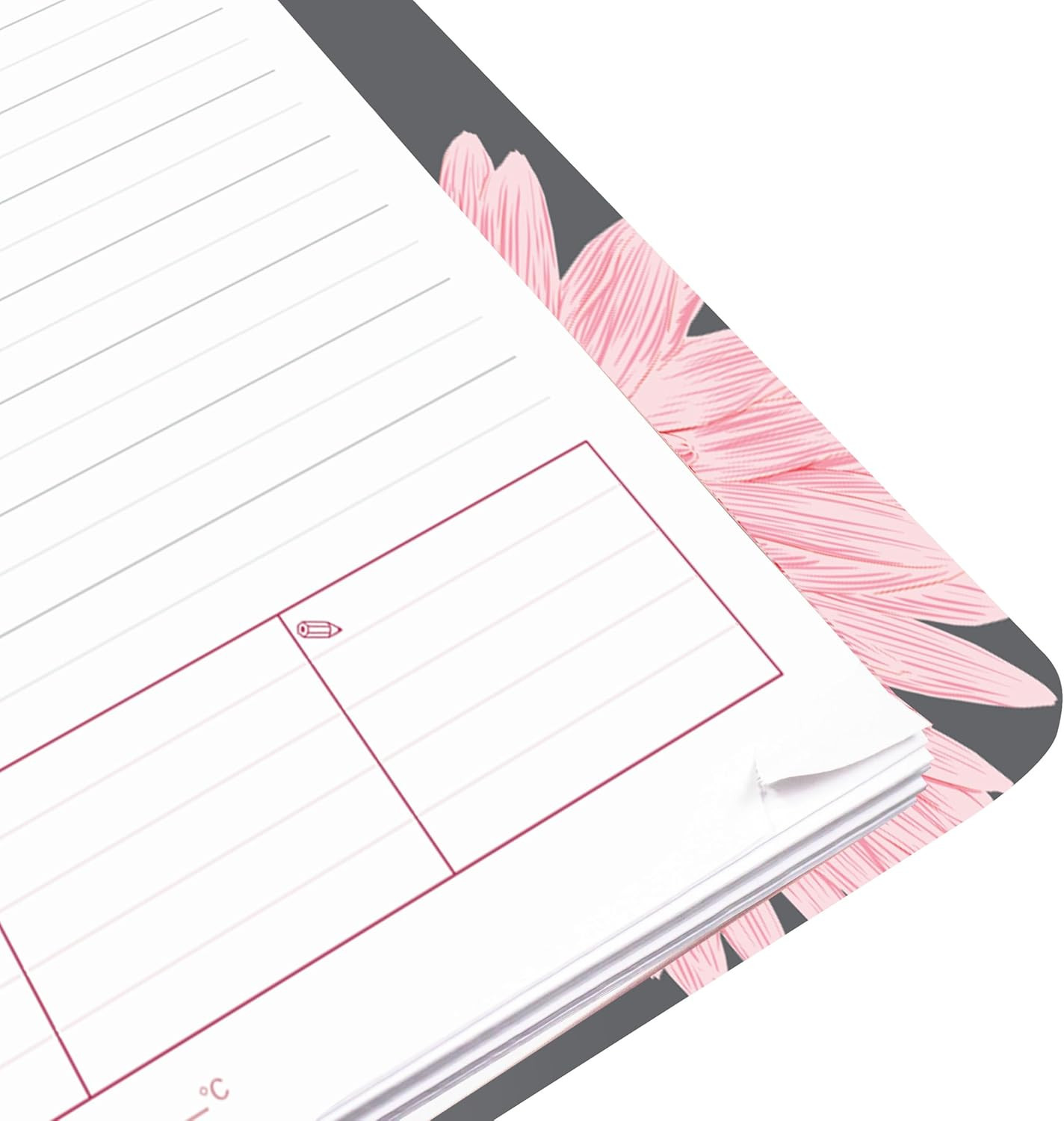 ® 2026 Pink Essential Daily/Monthly Planner, Appointment Book, 12 Months, Januar