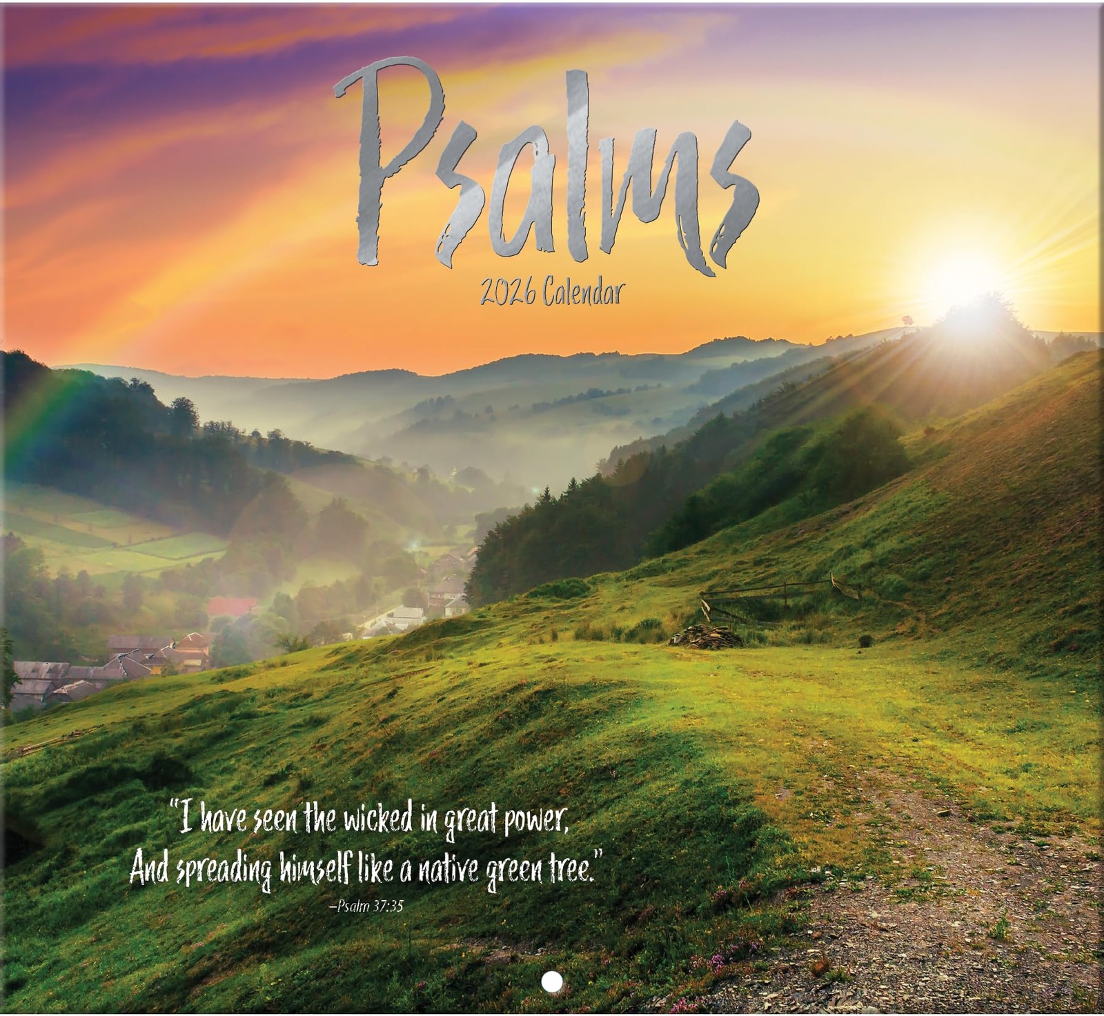 Psalms 2026 Full Size Wall Calendar for Planning, Scheduling, and Organizing