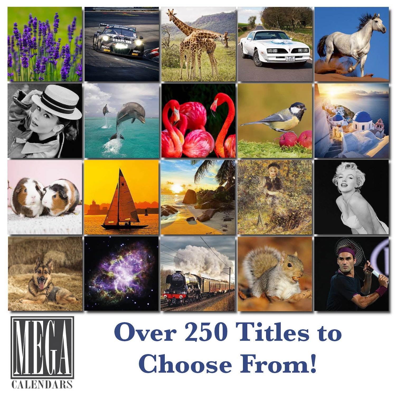 2025 2026 Pug Calendar – Dog Breed Monthly Wall – 12″ x 9″,
