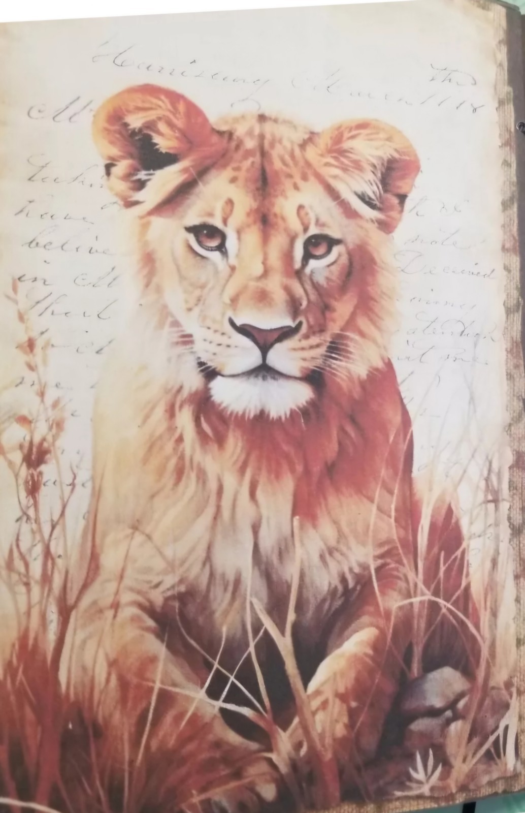 Junk Journal Blank Booklet “WILD KINGDOM” Nature HANDMADE LG 8.5″x5.5″ 40pg