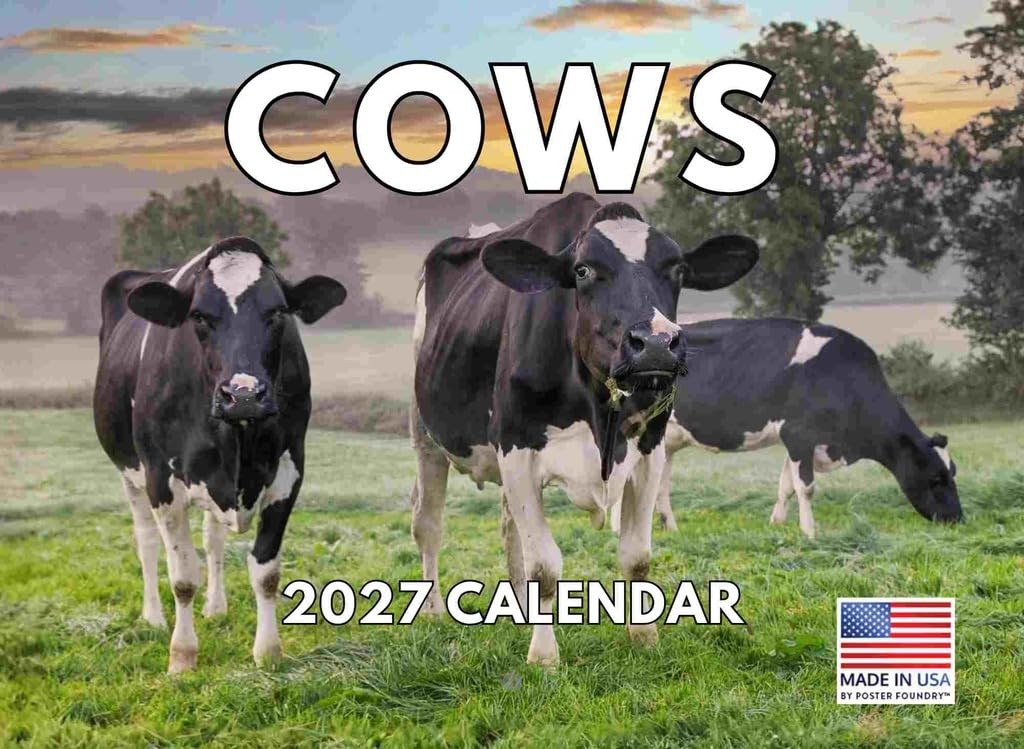 Cow Calendar 2027 Monthly Wall Calender 12 Month Cows