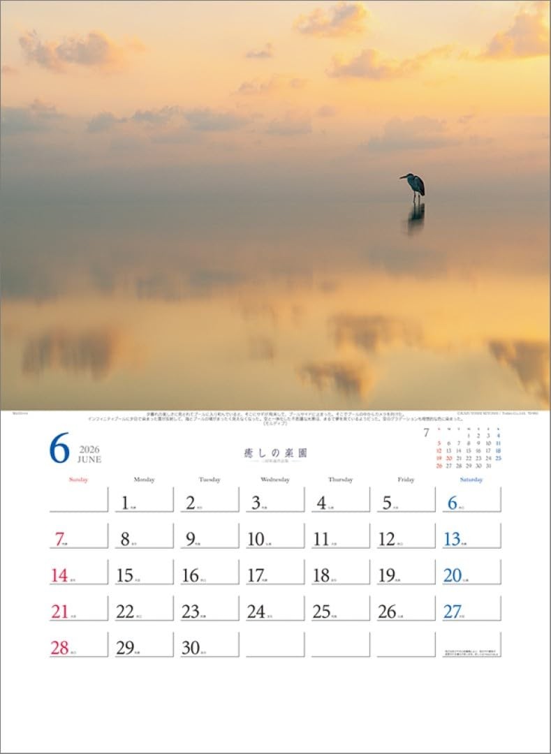 Healing Paradise – Kazuyoshi Miyoshi Works Collection – TD-30653 2026 Wall Calen