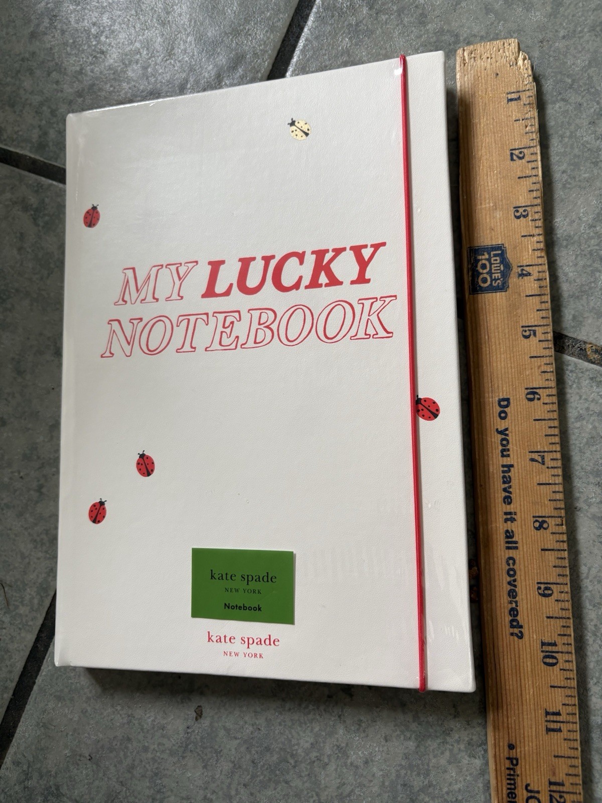 Kate Spade My Lucky Notebook Take Note XL 168 Lines Pages Ladybugs