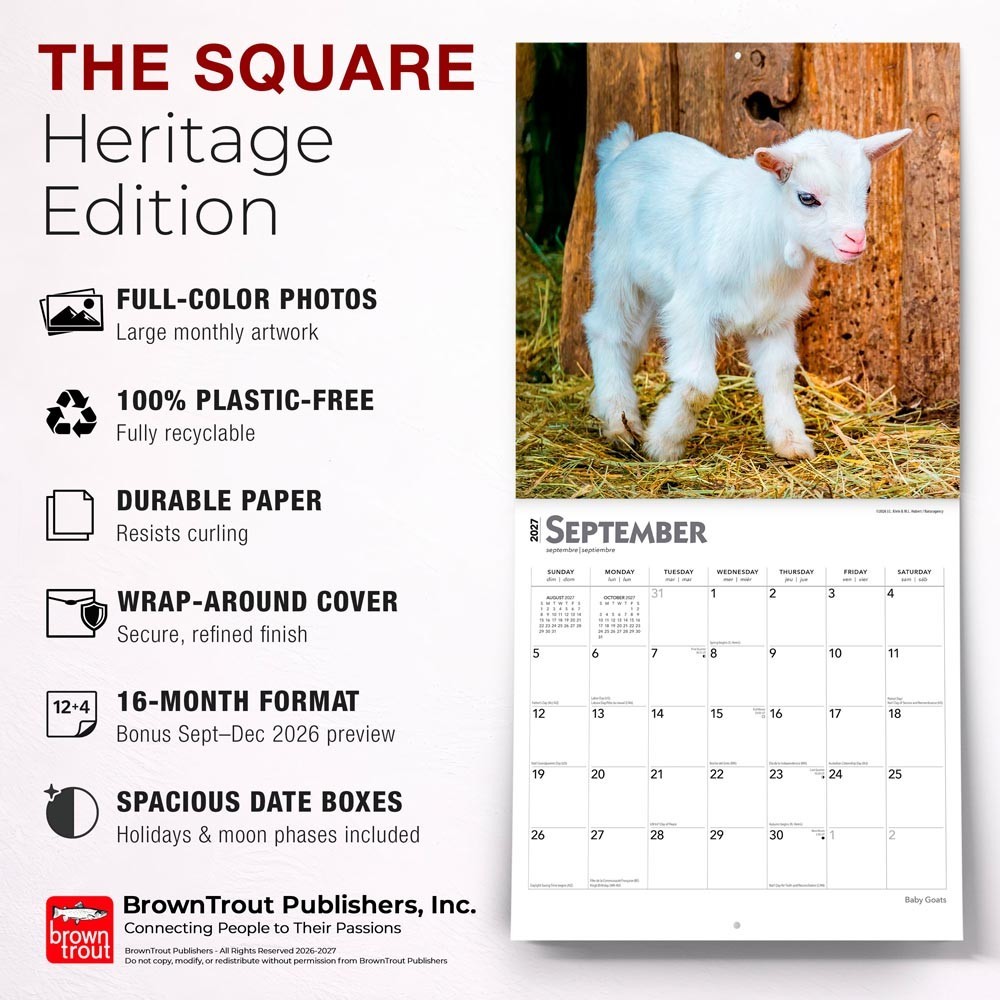 Baby Goats | 2027 12×24″ (Hanging) Monthly Square Wall Calendar | Plastic-Free