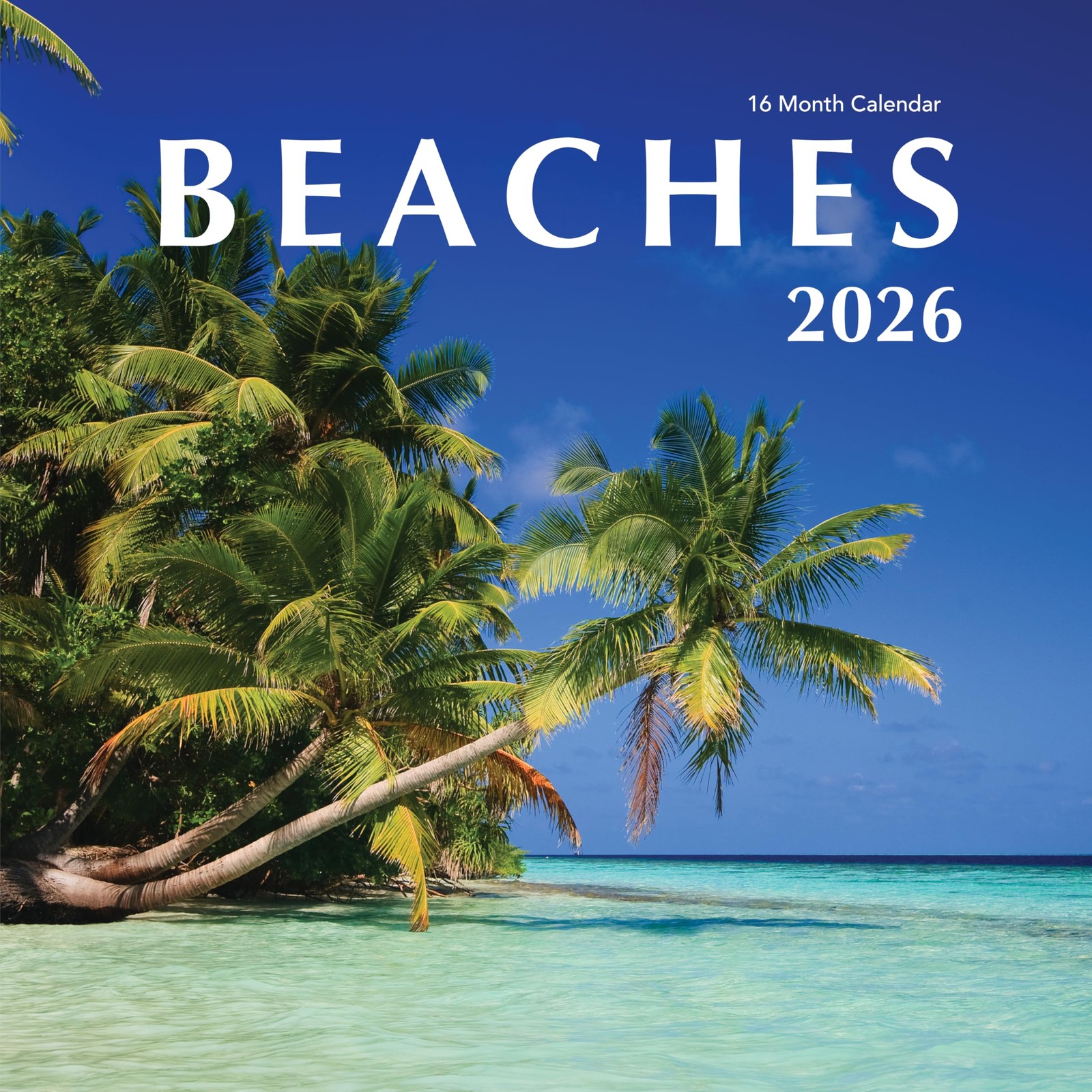 Favor Parts Beach Calendar 2026 – Beaches Hangable Wall 2026