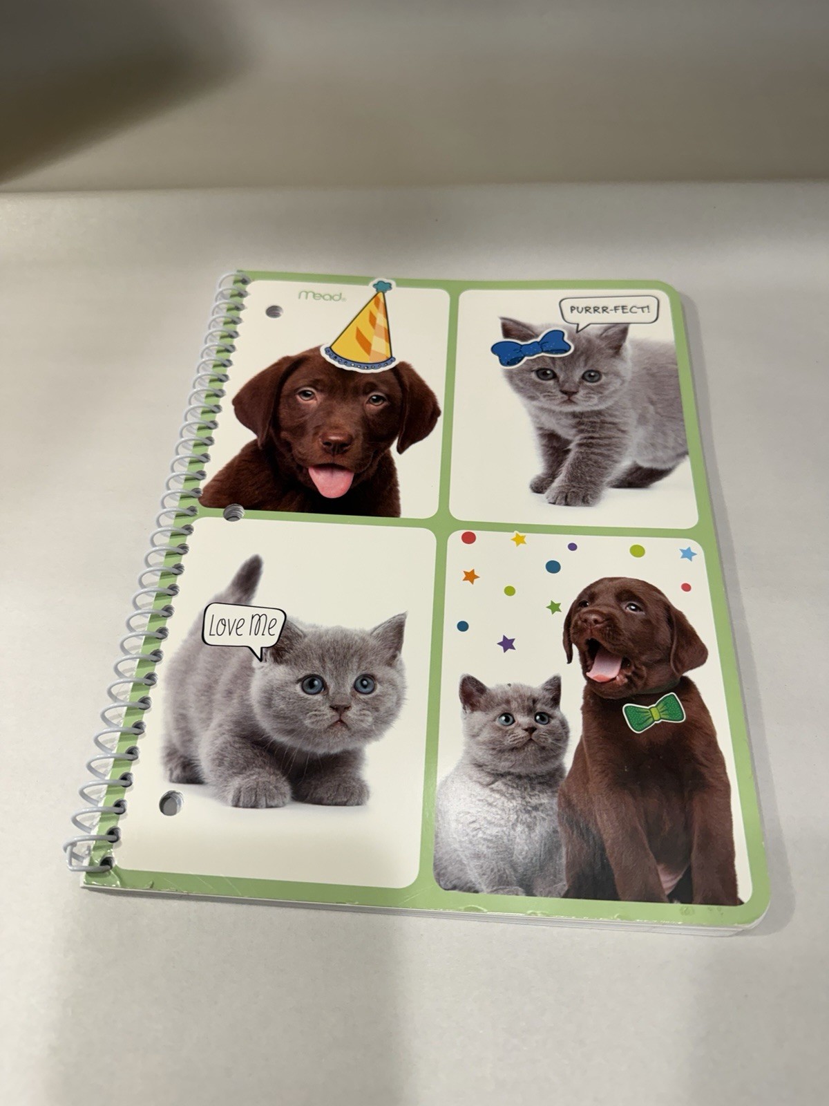 Notebook Cat and Dog 10 1/2 In x 7 1/2
