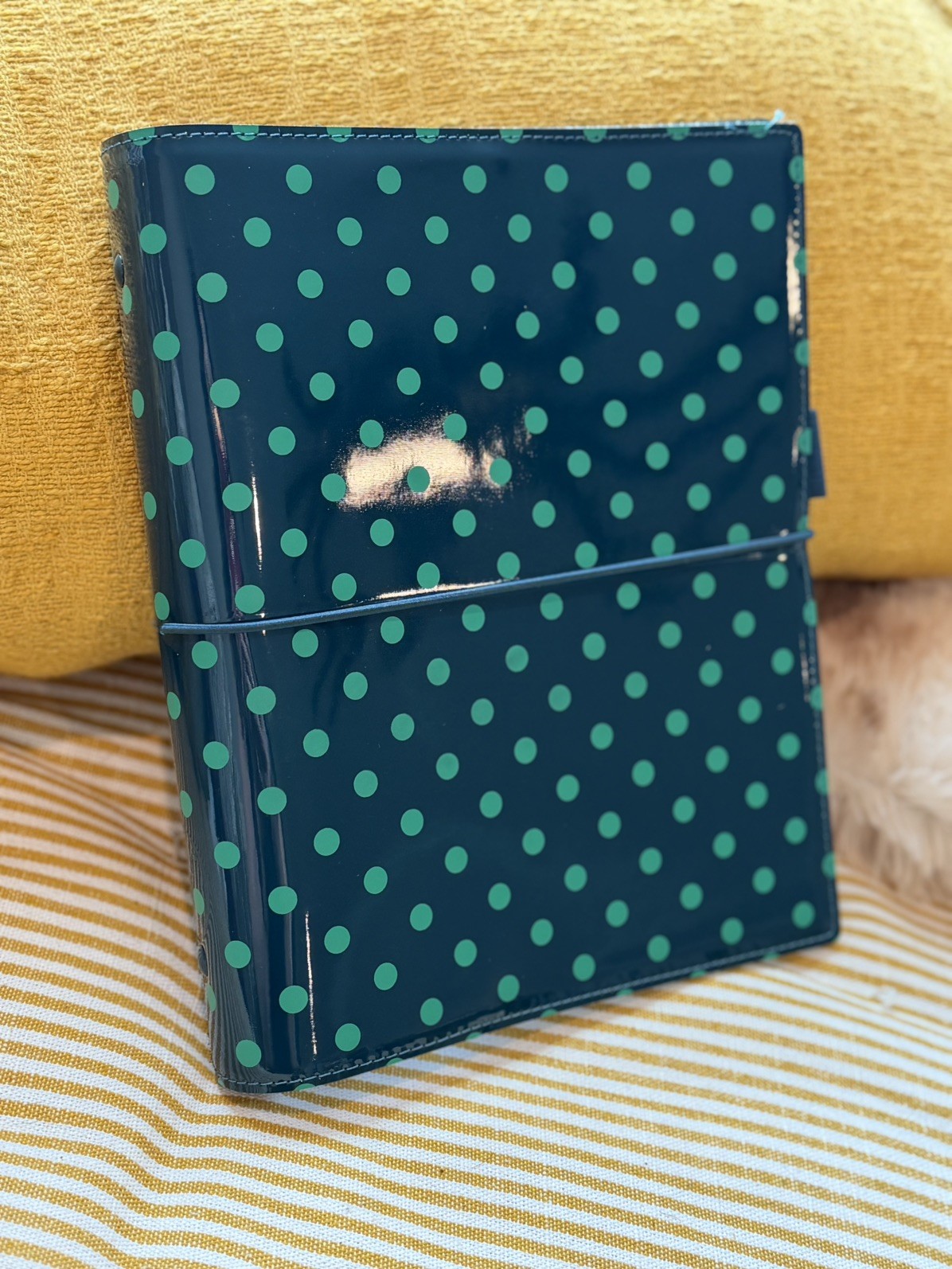 Filofax Domino Patent A5 organizer Planner 30mm Ring Rare Discontinued NEW