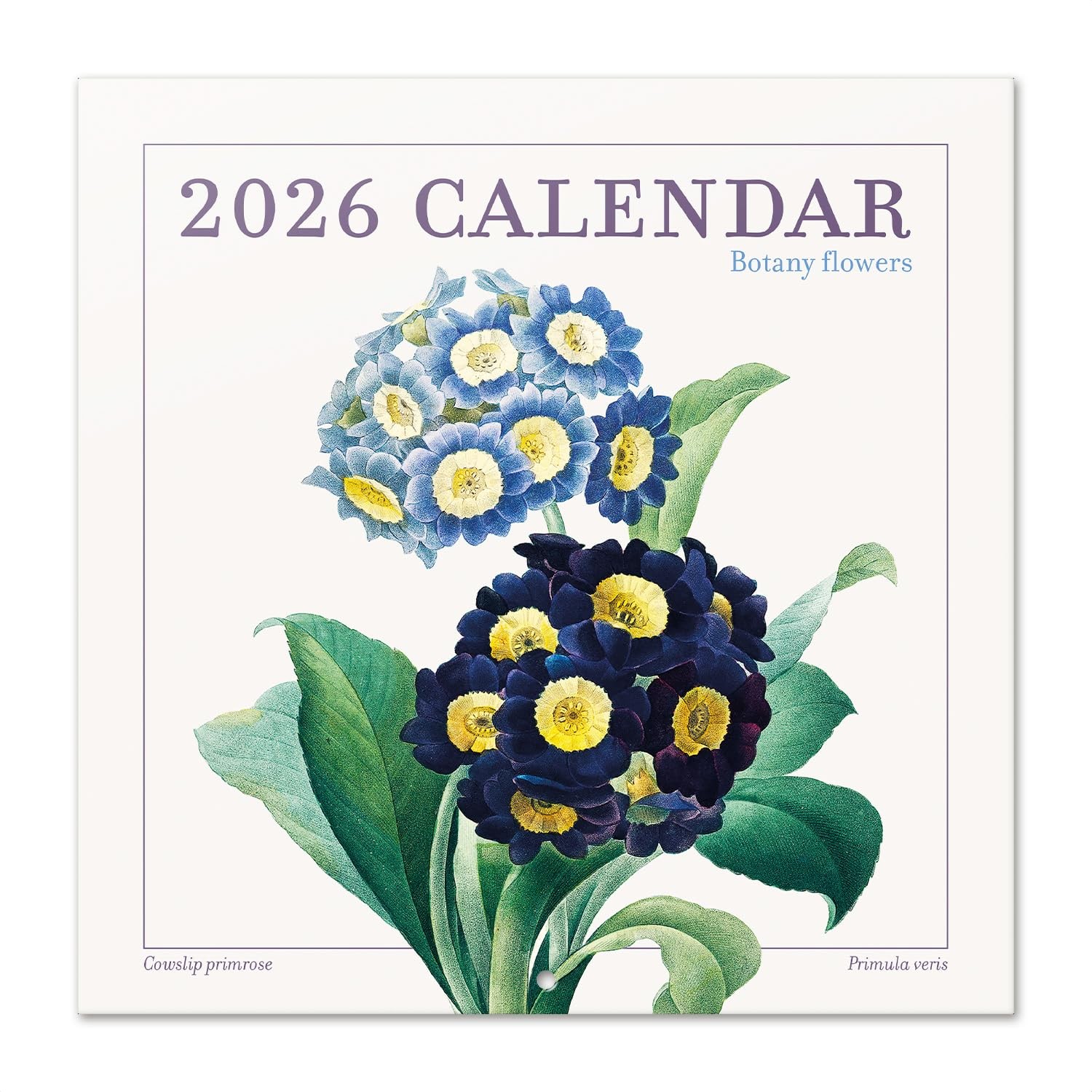Botanical Wall Calendar 2026 12″ x FSC® Plastic Flowers 2026