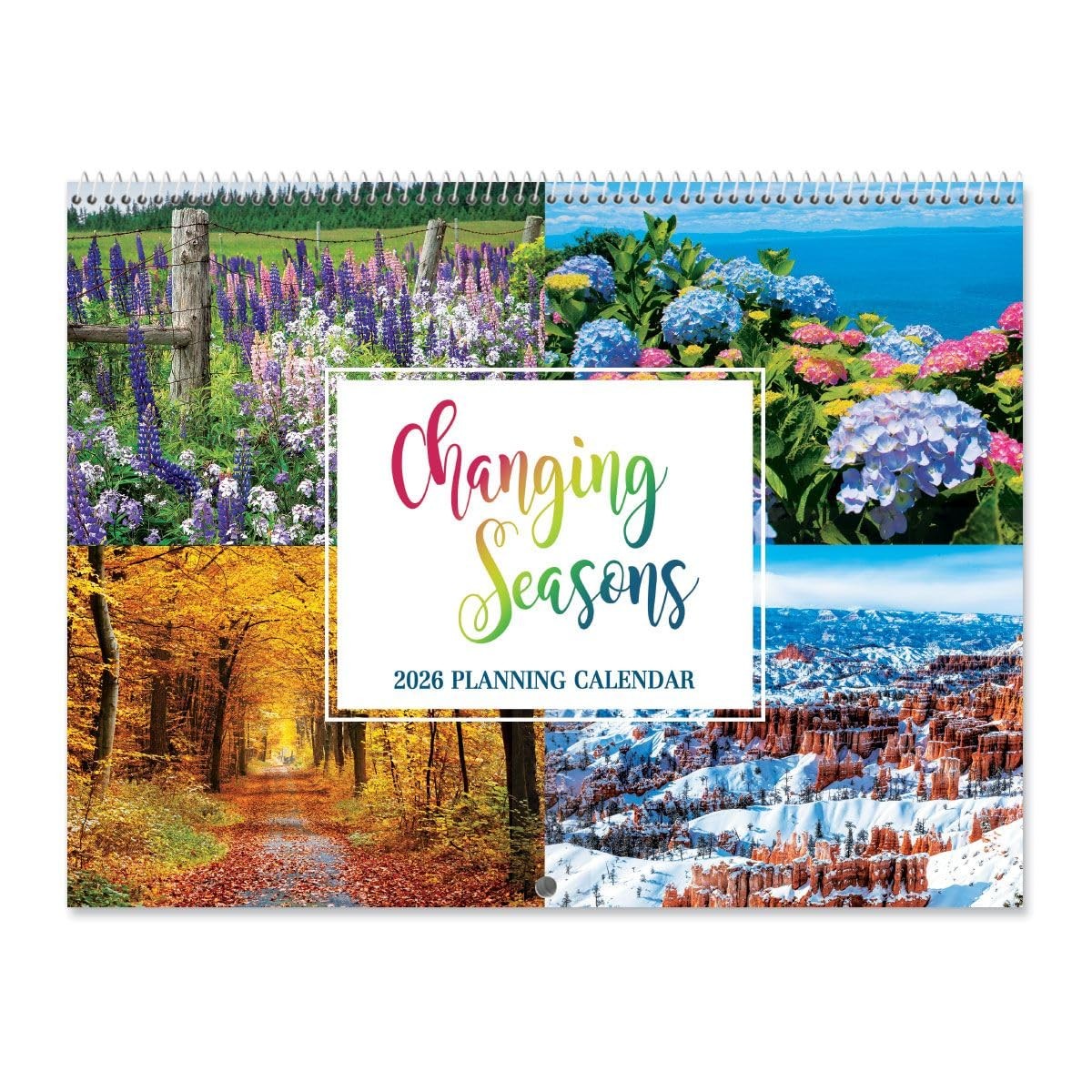 2026 Seasons Big Grid Wall Calendar, 12-Inch x 9-Inch Size 2026