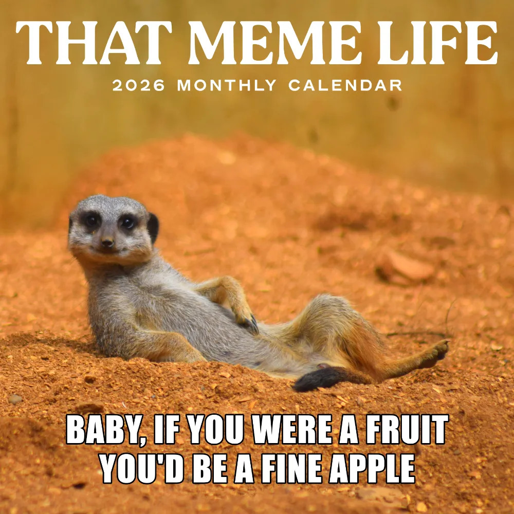 That Meme Life Calendar 2026 | 12″ x 24″ 12 Month Calendar | Marble City Press
