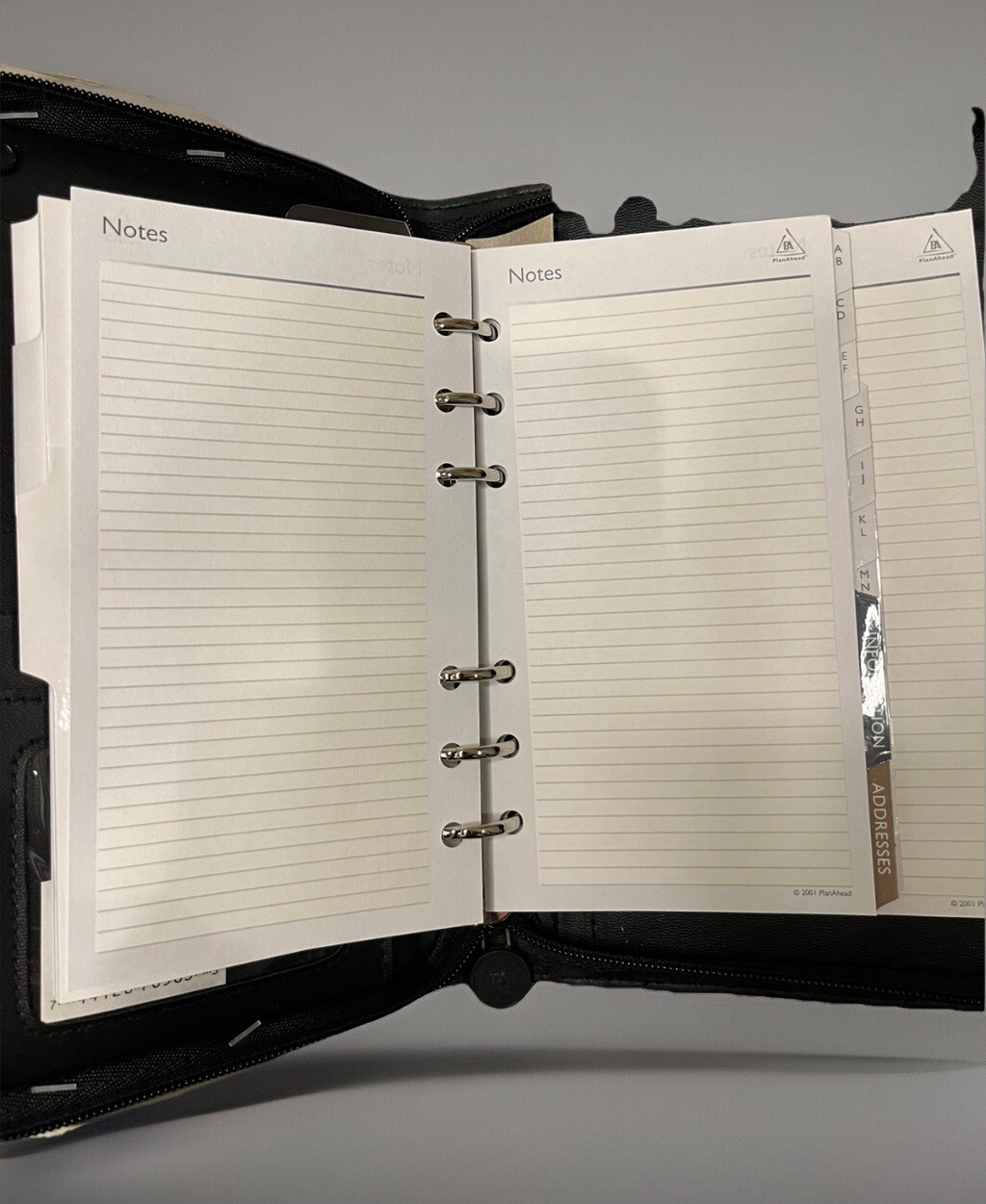 Plan Ahead 6 Ring Small Fleetwood Organizer Non Dated Weekly/Monthly 6×9 Zipped