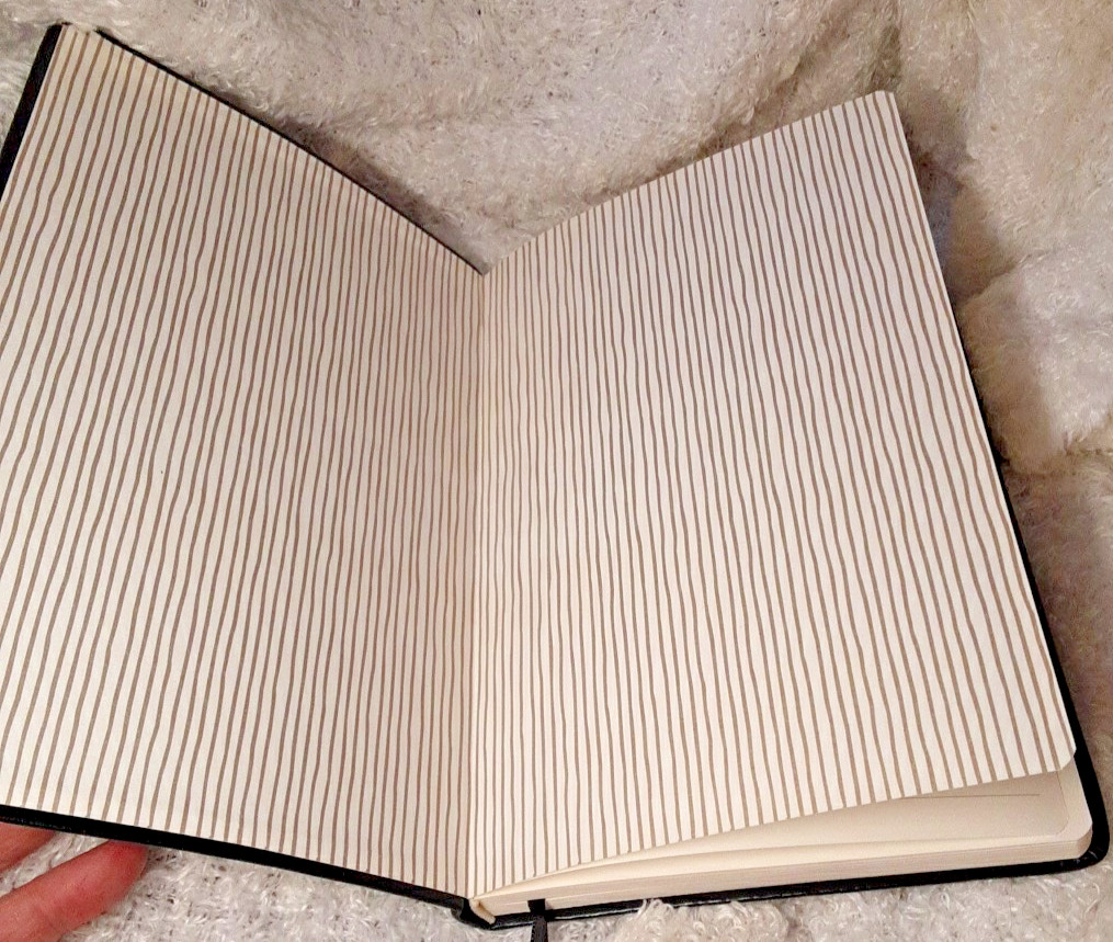 Journal Notebook The Master Plan 5.75″ x 8.25″ 256 Pages GREAT GRAD GIFT