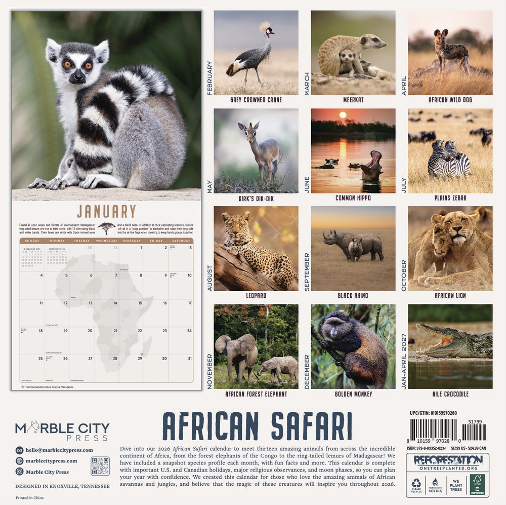 Safari Calendar 2026 | 12×24″ 12 Months | Marble City Press