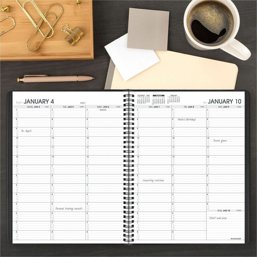 ACCO Brands Corporation At-A-Glance Appointment Book Planner 7095005