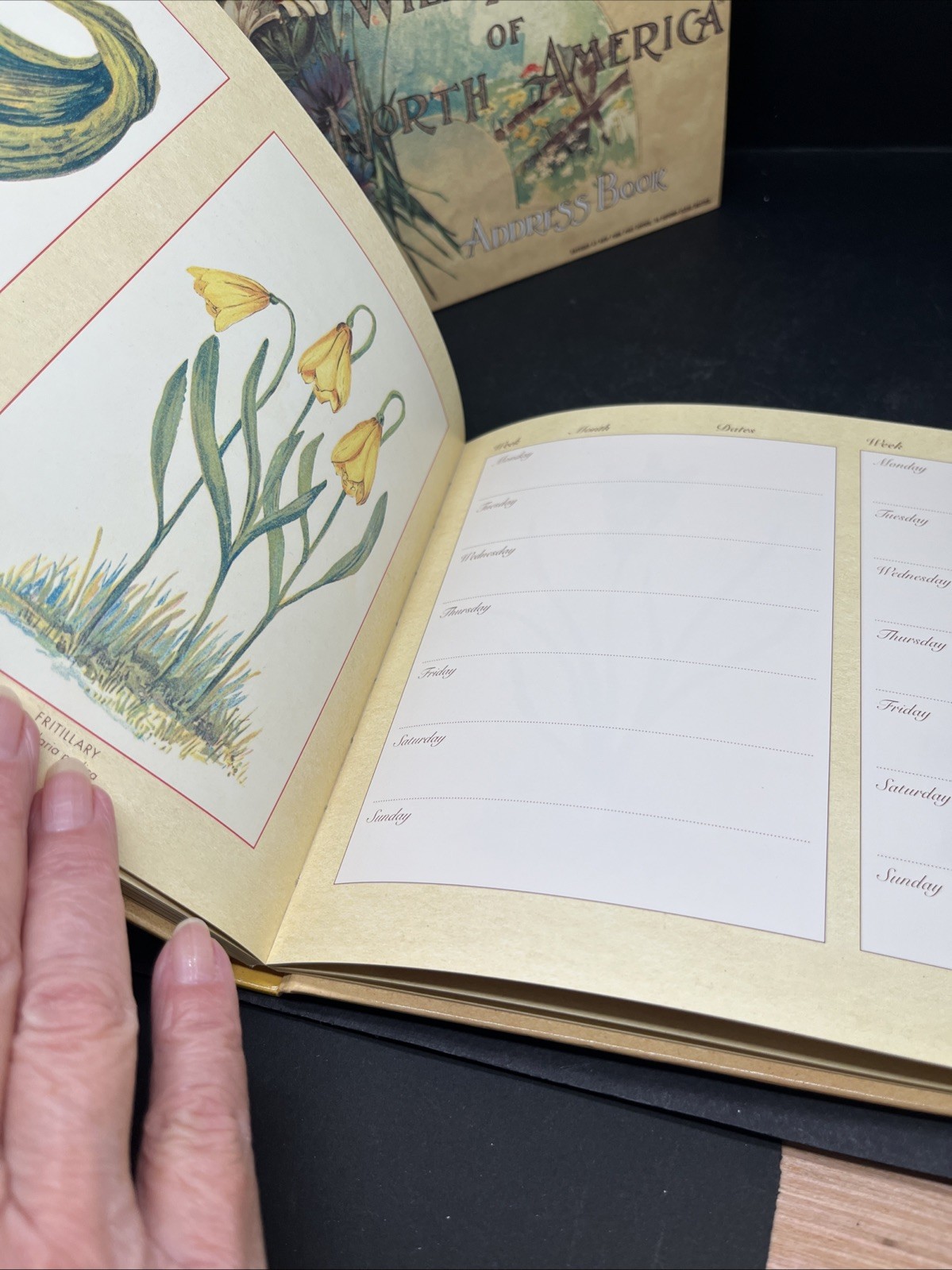 Wildflowers Of North America Daily Journal & Address Book