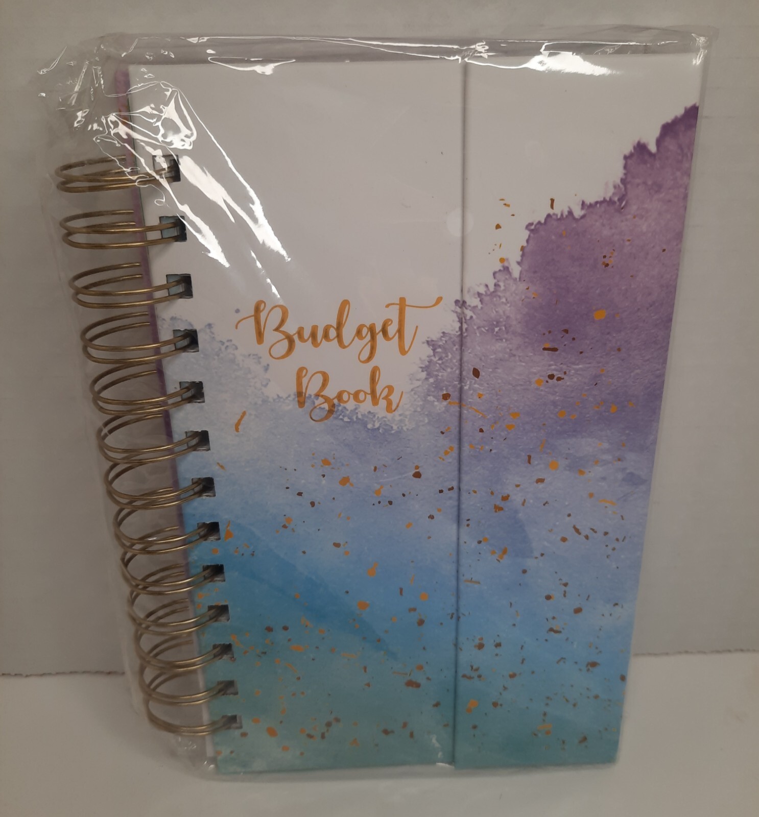 Budget Planner~12 Month Undated Budget Book~Expense Tracker~5.3″x7.6″ Pink/Blue