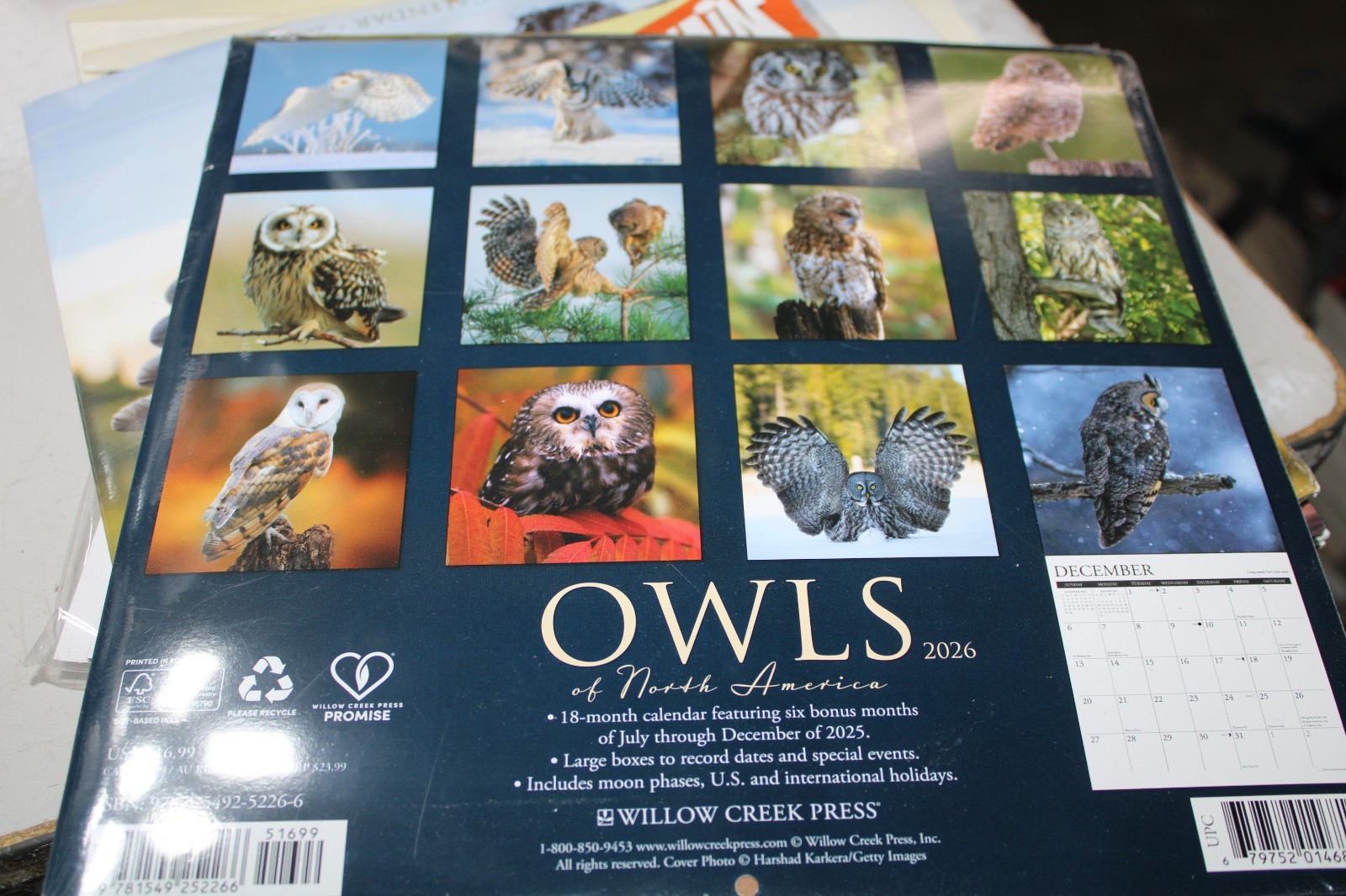 Owls 2026 12″ x 12″ Wall Calendar (free shipping)