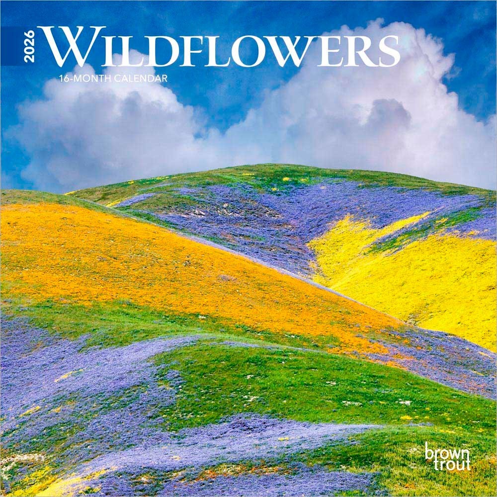 Wildflowers | 2026 7×14″ (Hanging) Monthly Mini Wall Calendar