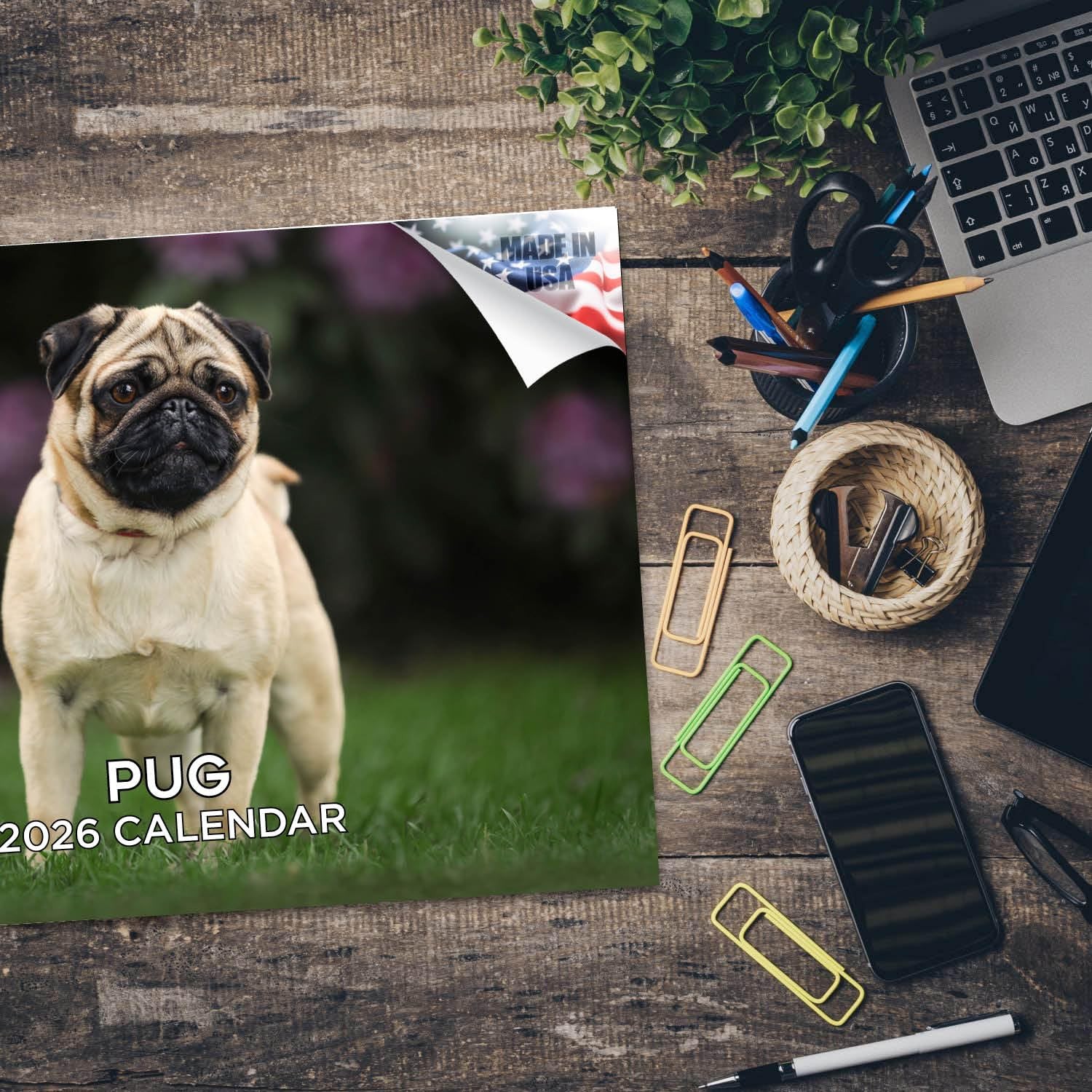 2025 2026 Pug Calendar – Dog Breed Monthly Wall – 12″ x 9″,