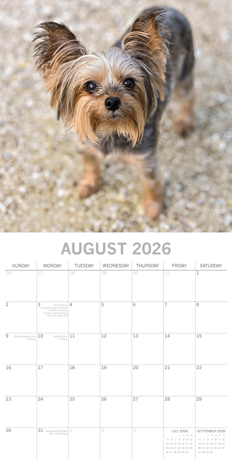 The Gifted Stationery Square Wall Calendar – Yorkshire Terrier Design & 2026…