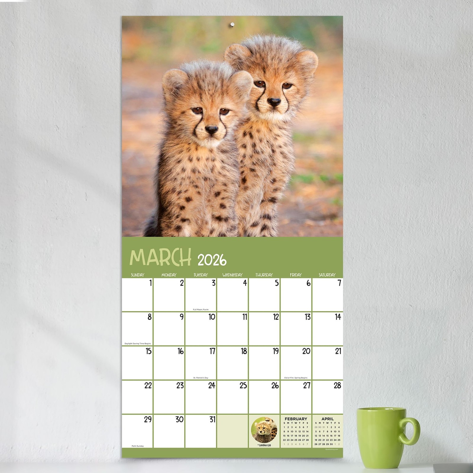 TF Publishing 2026 Baby Animals Wall Calendar – Large Grids for