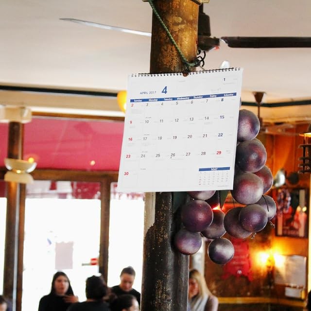 Quo Vadis 2026 Wall Calendar/Wall Planner White Dimensions: 300x300mm PEFC