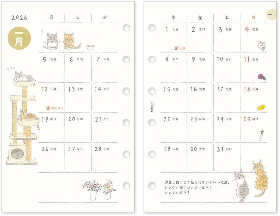 DESIGNPHIL midori 2026 B7 Monthly Planner Refill 6-rings Cat Pattern Japan