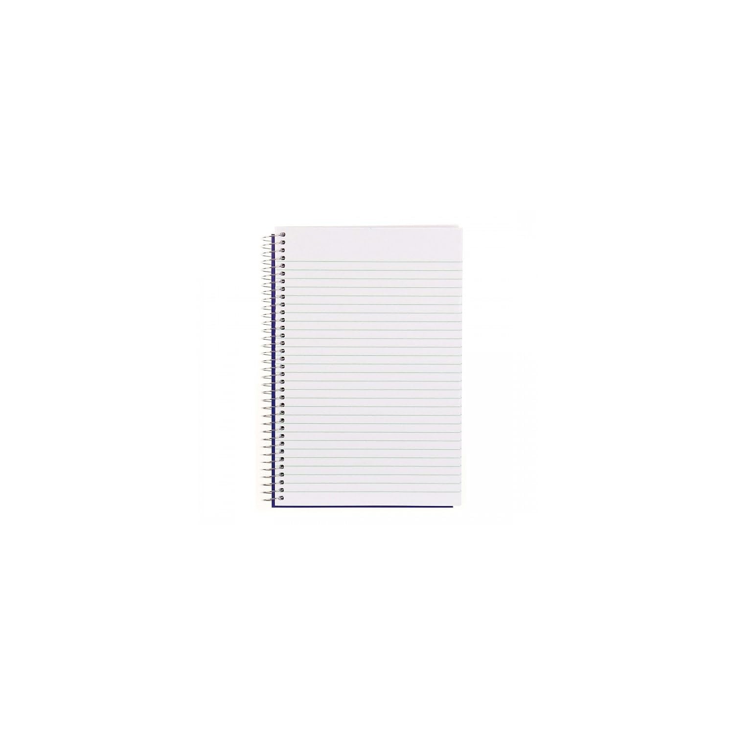 Blueline Steno Pad/Note Pad, Spiral Binding with Flexible Blue Cover, 9
