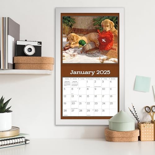 LANG Puppy 2025 Wall Calendar (25991001937) Multi
