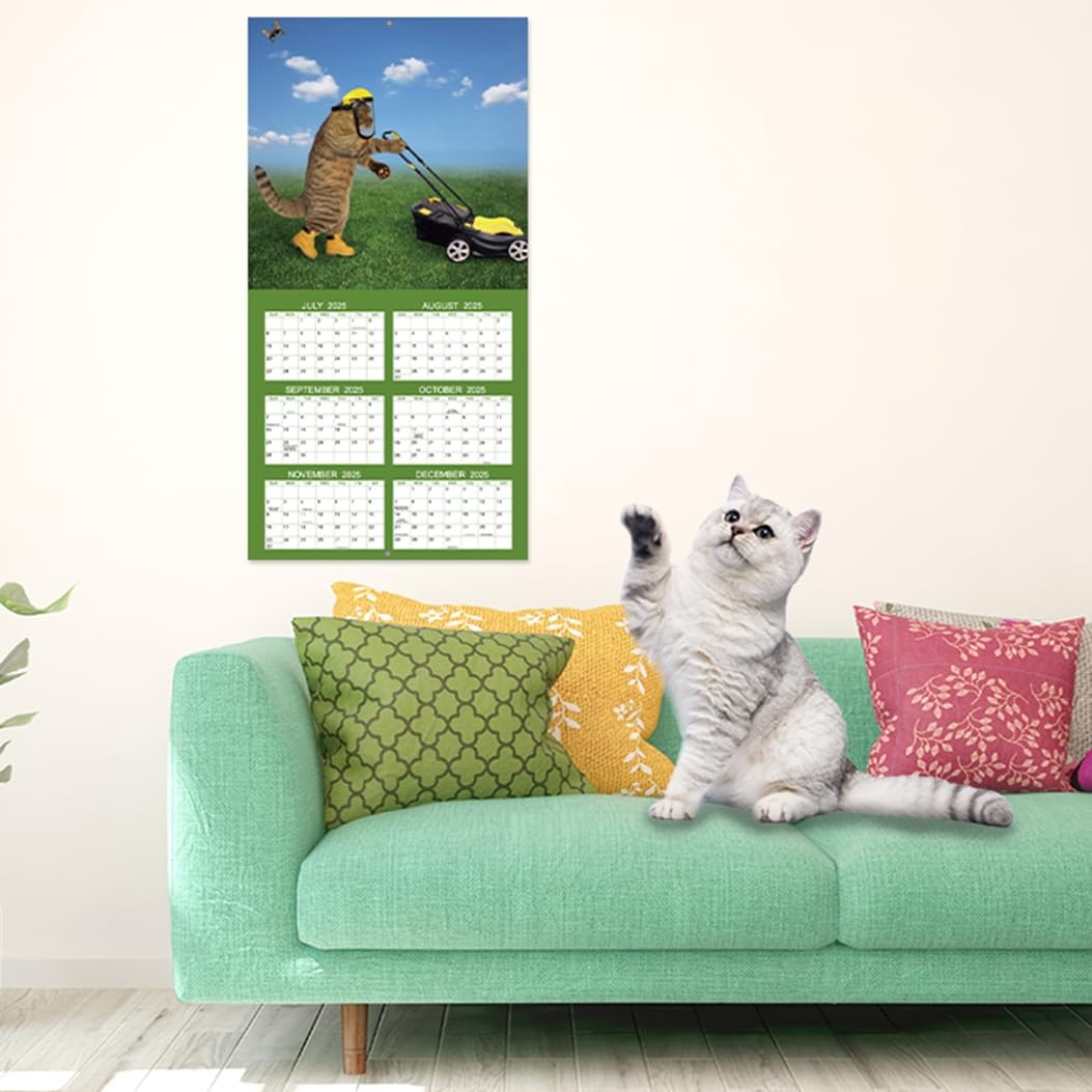 2026 Calendar – 2026 Wall Calendar, Funny Cat 2026, JAN 2026 – DEC…