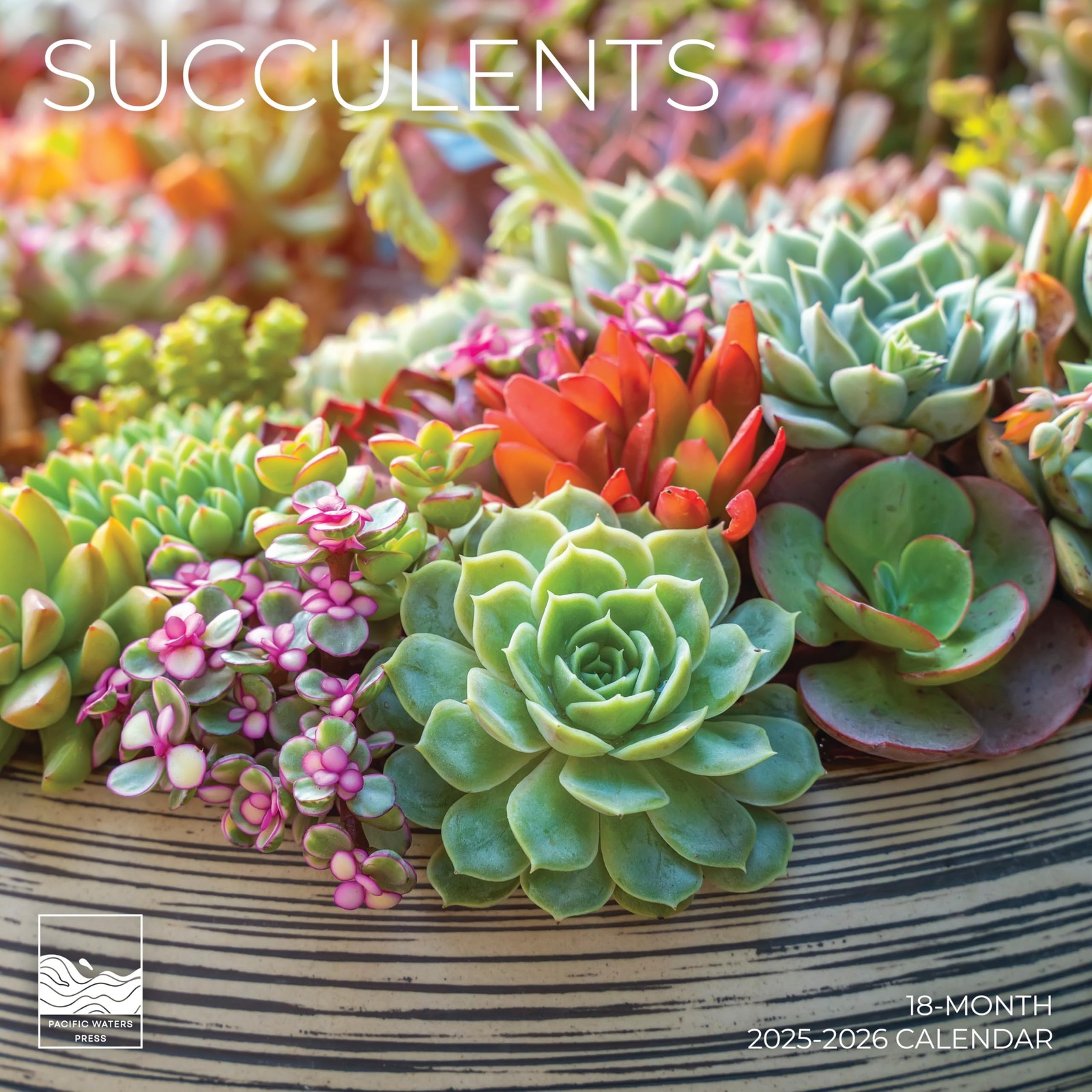 2026 Succulents Wall Calendar 18 Month | 12″ x 24″ Open | 12 x 12, Succelents